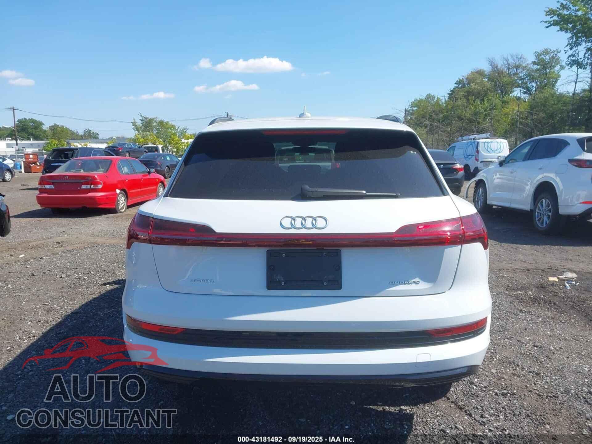 AUDI E-TRON 2022 - WA1AAAGE0NB042425