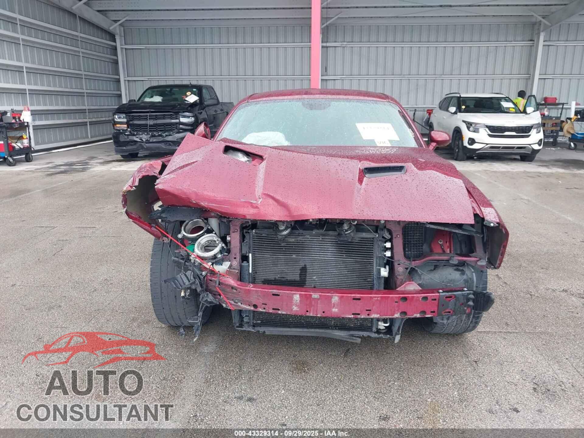 DODGE CHALLENGER 2019 - 2C3CDZAG4KH691599