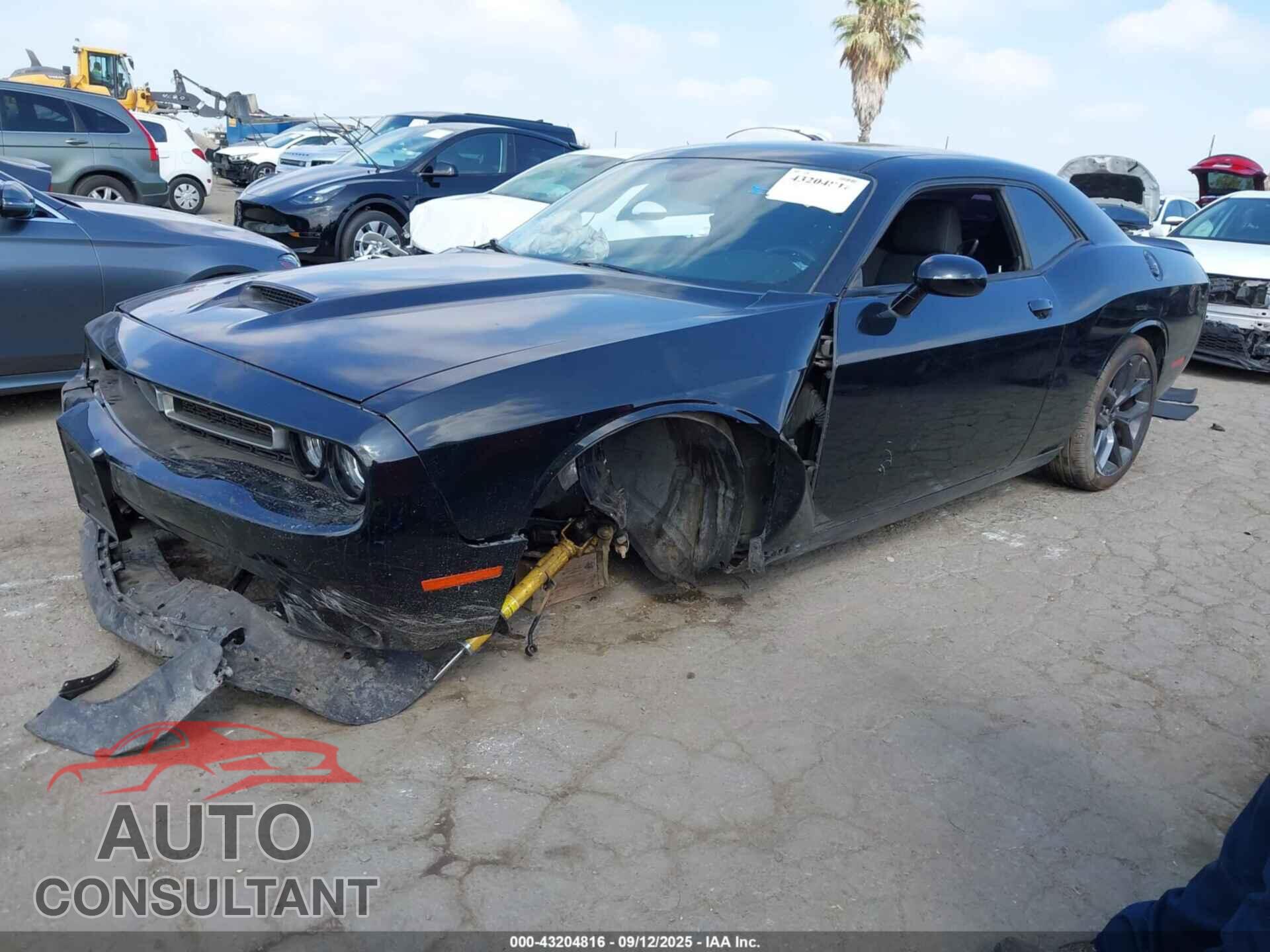 DODGE CHALLENGER 2019 - 2C3CDZBT4KH638039