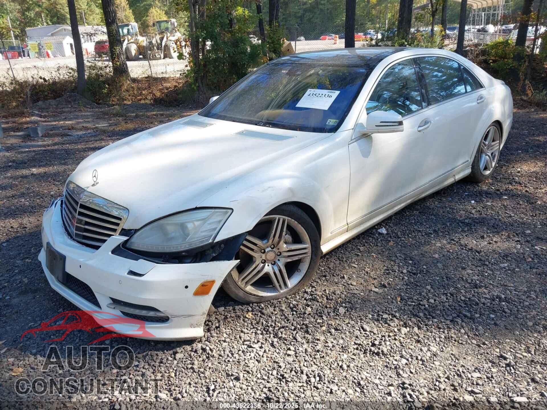 MERCEDES-BENZ S 550 2013 - WDDNG7DB9DA525974