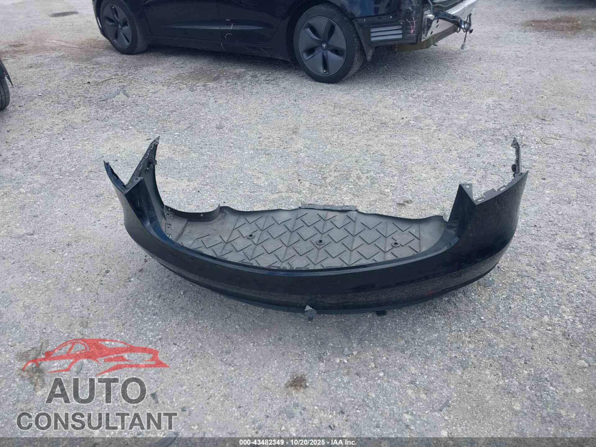 TESLA MODEL 3 2019 - 5YJ3E1EB3KF208909