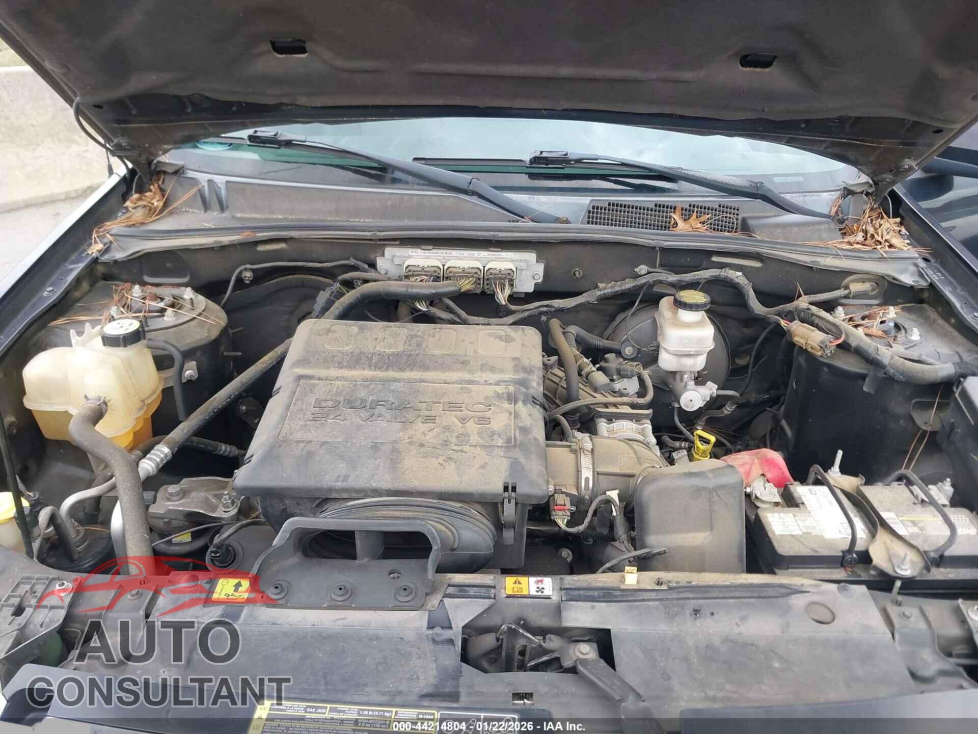 FORD ESCAPE 2010 - 1FMCU0EG4AKC05426
