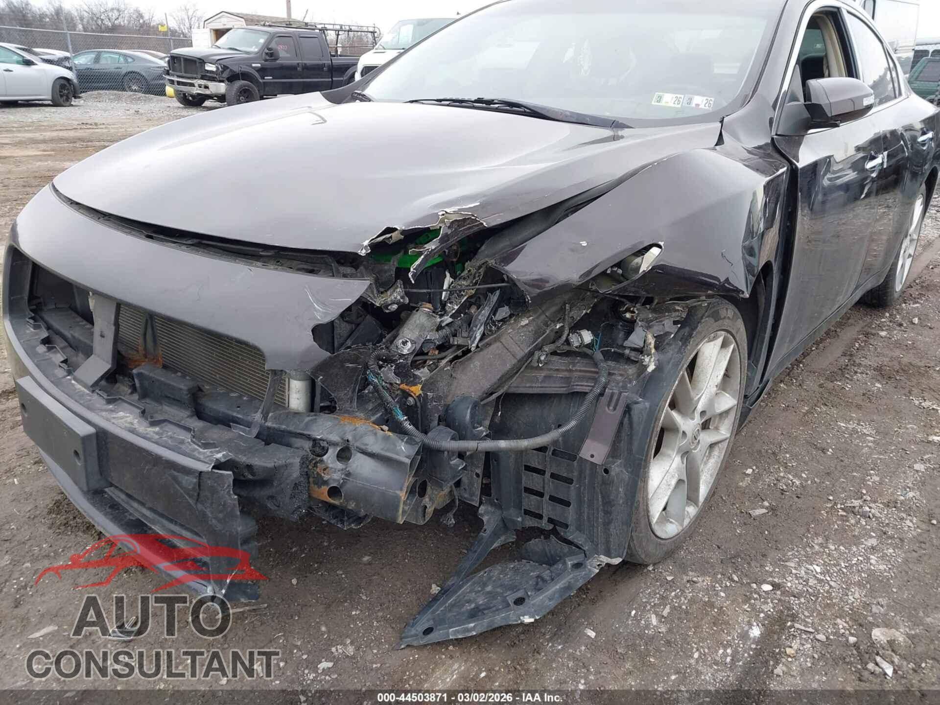 NISSAN MAXIMA 2010 - 1N4AA5AP1AC873126