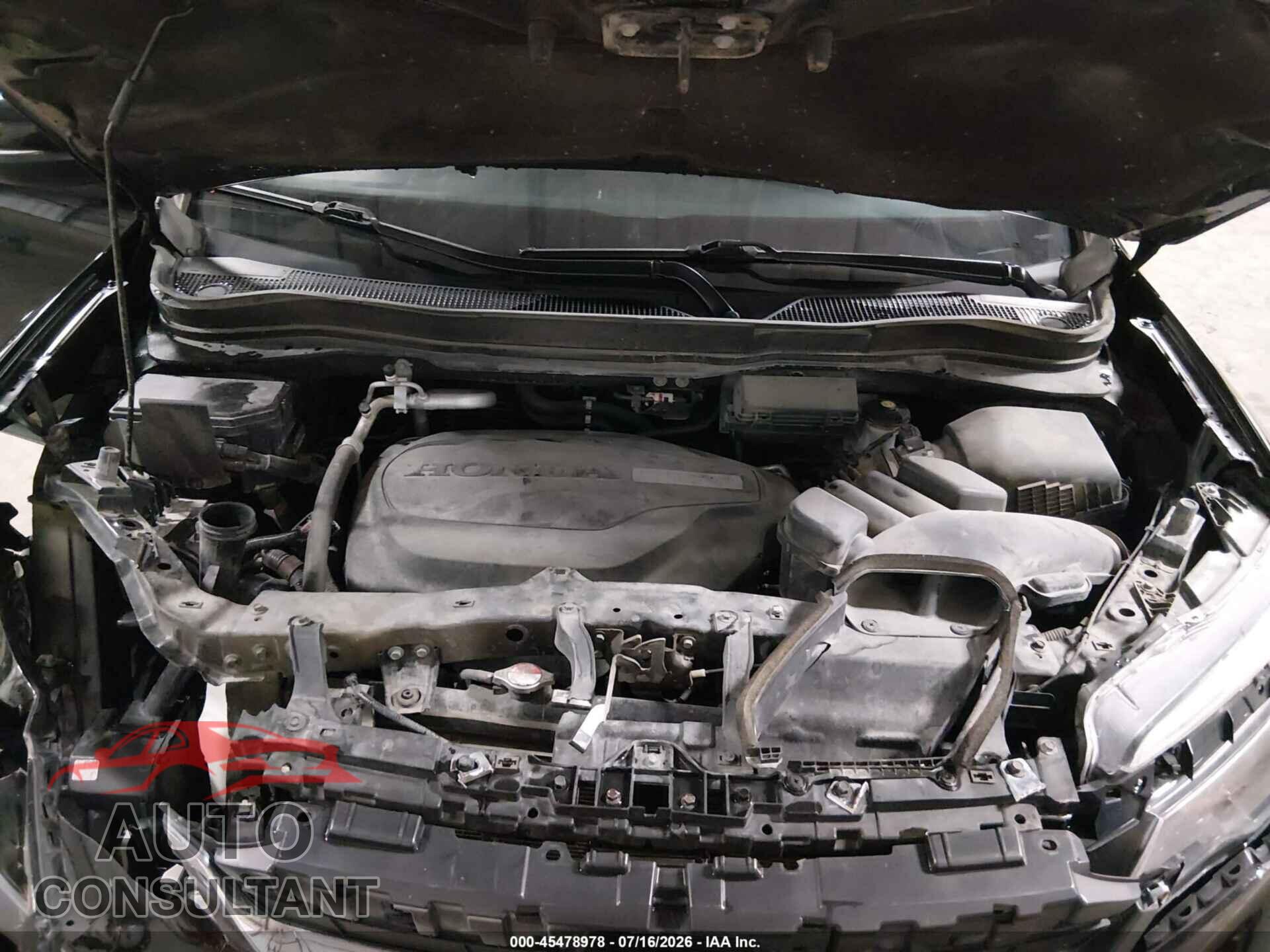 HONDA PILOT 2019 - 5FNYF6H55KB059876