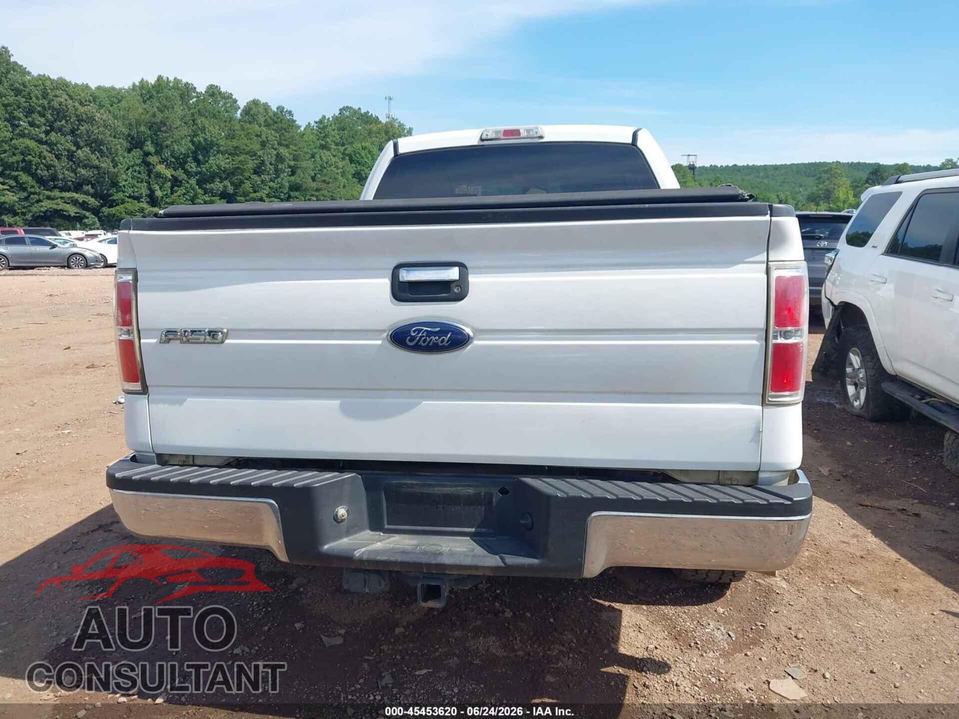 FORD F-150 2010 - 1FTEW1C84AFC87918