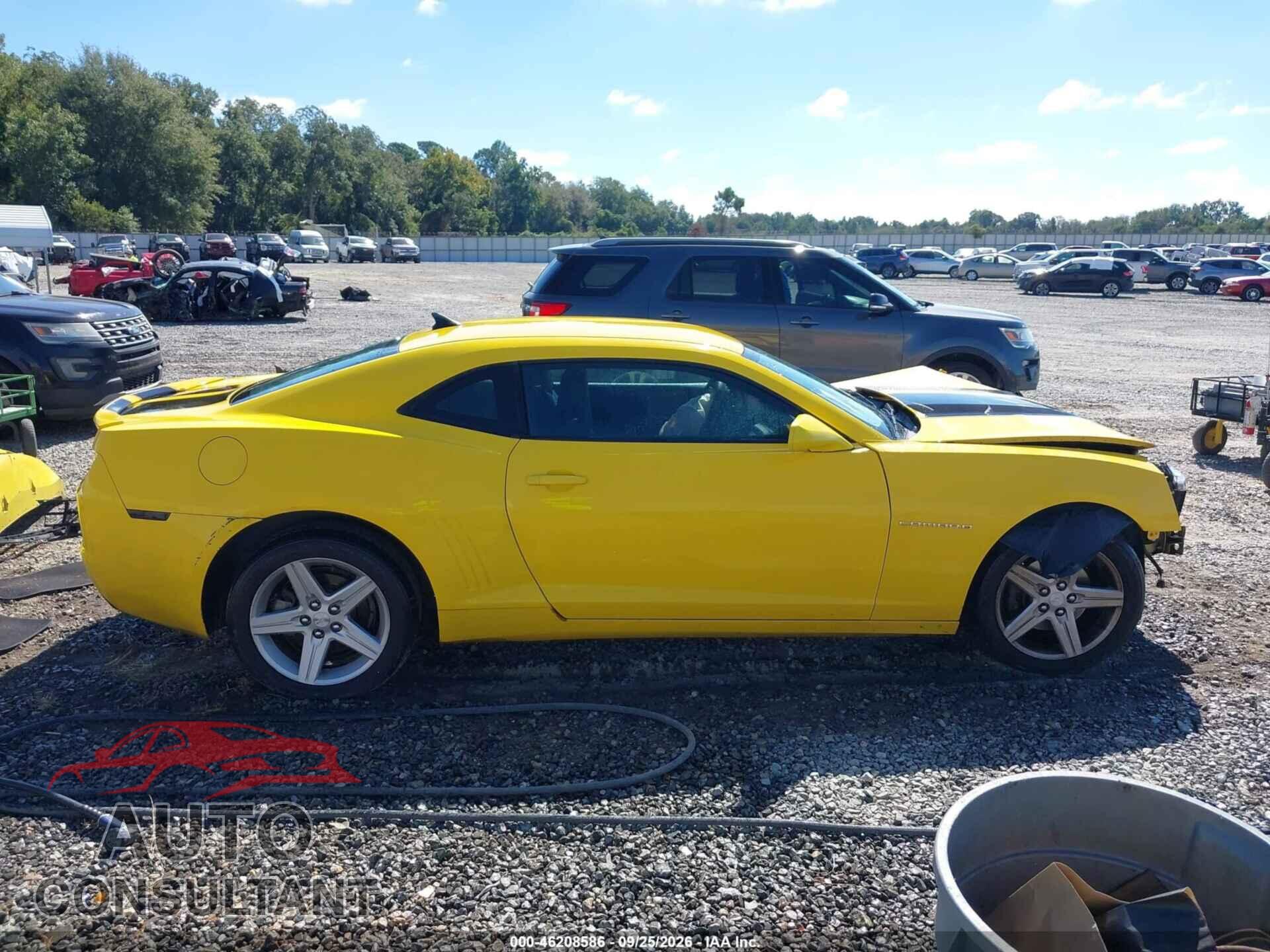 CHEVROLET CAMARO 2010 - 2G1FB1EV2A9214308