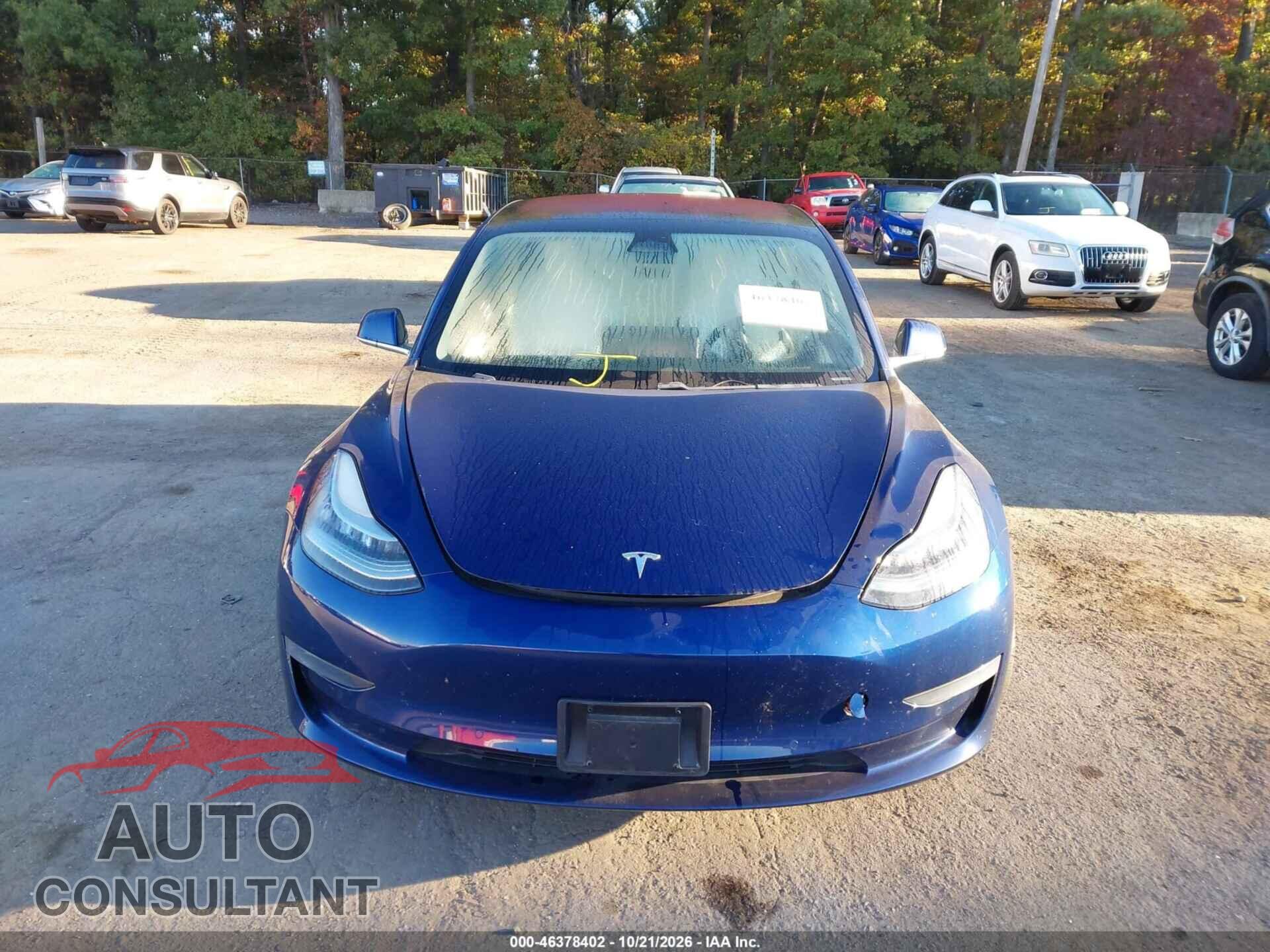 TESLA MODEL 3 2019 - 5YJ3E1EA7KF301942