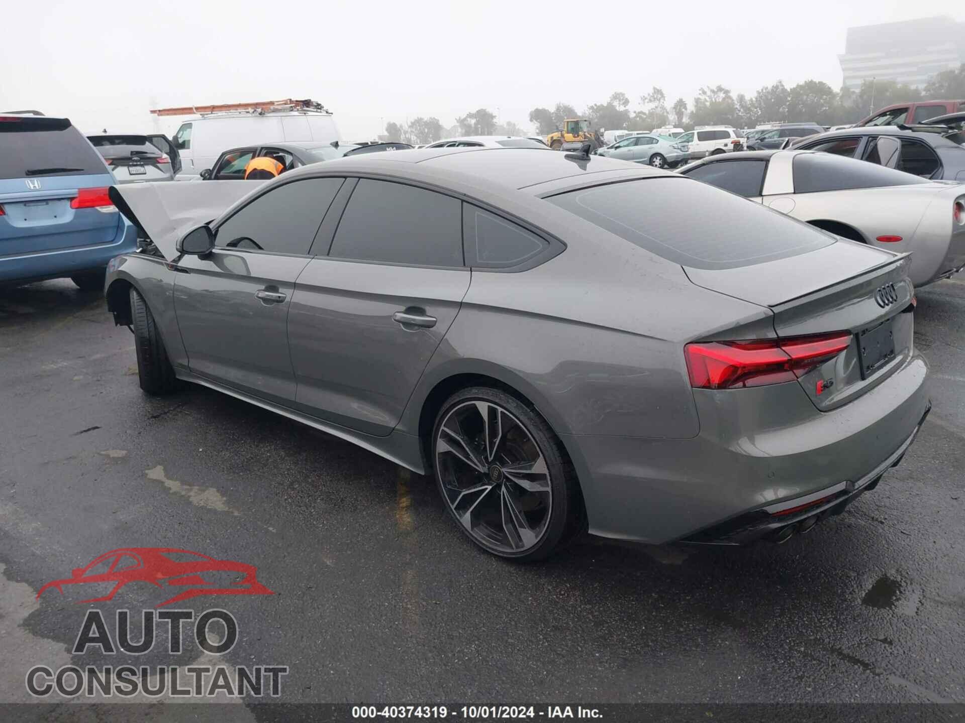 AUDI S5 2024 - WAUC4DF50RA111275