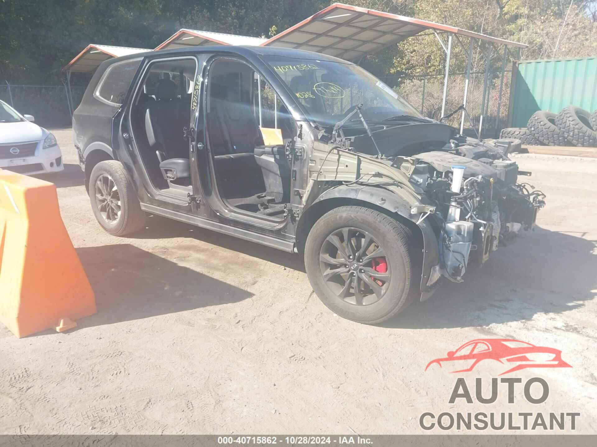 KIA TELLURIDE 2020 - 5XYP2DHC9LG011317