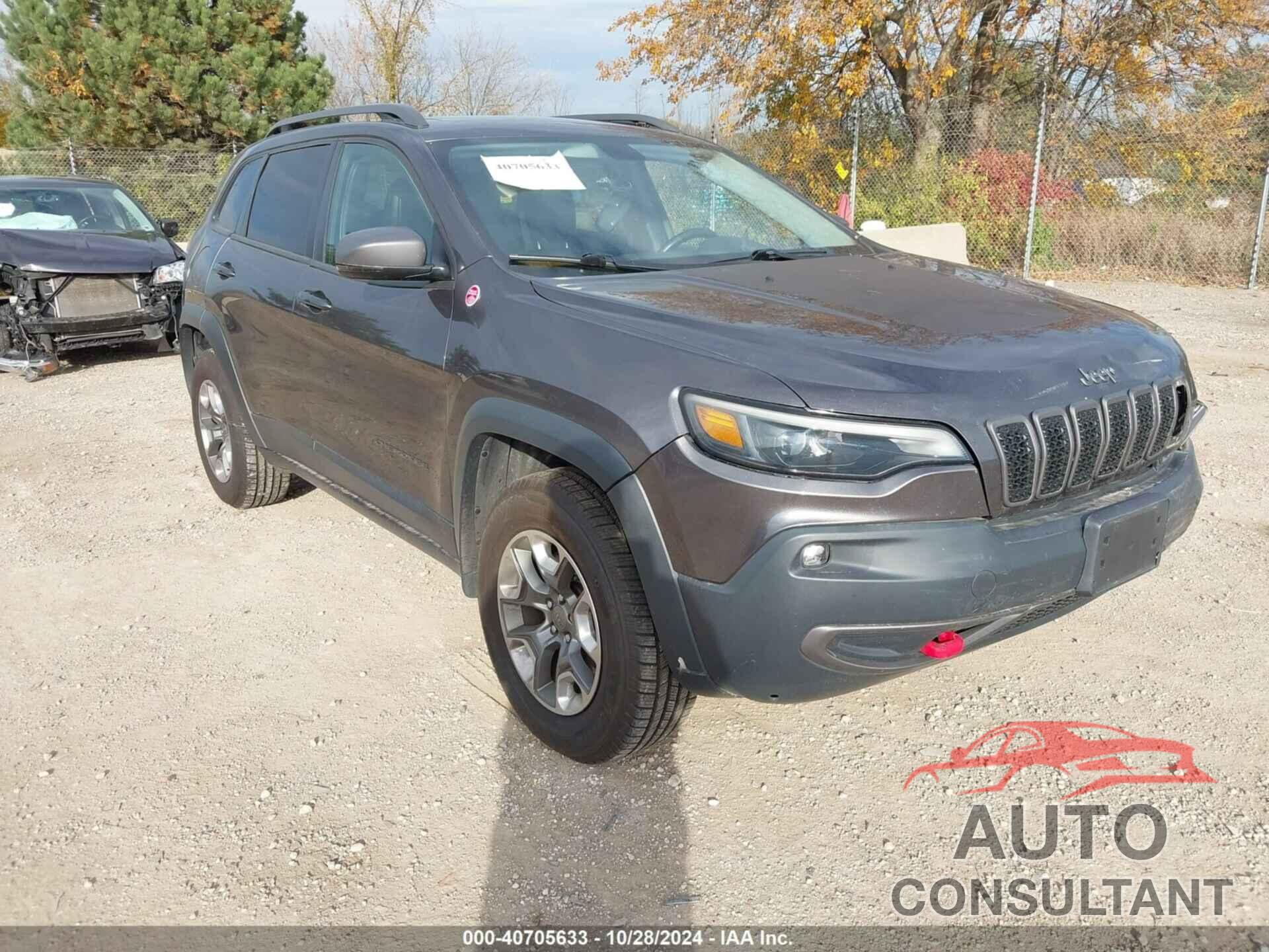 JEEP CHEROKEE 2019 - 1C4PJMBN6KD216409