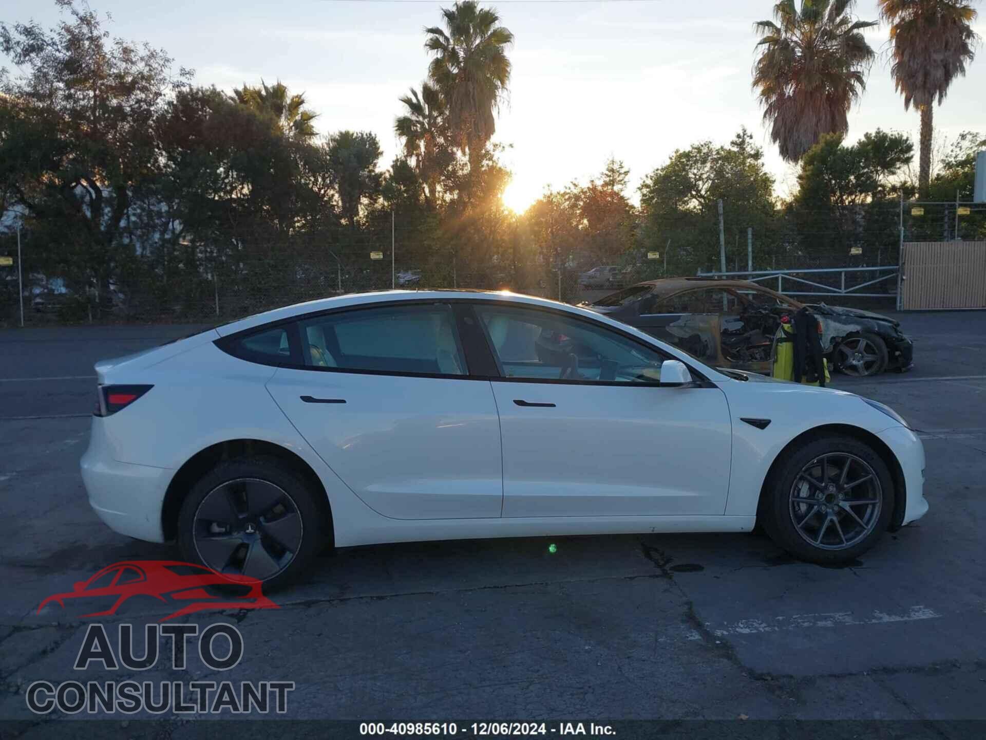 TESLA MODEL 3 2021 - 5YJ3E1EA1MF093771