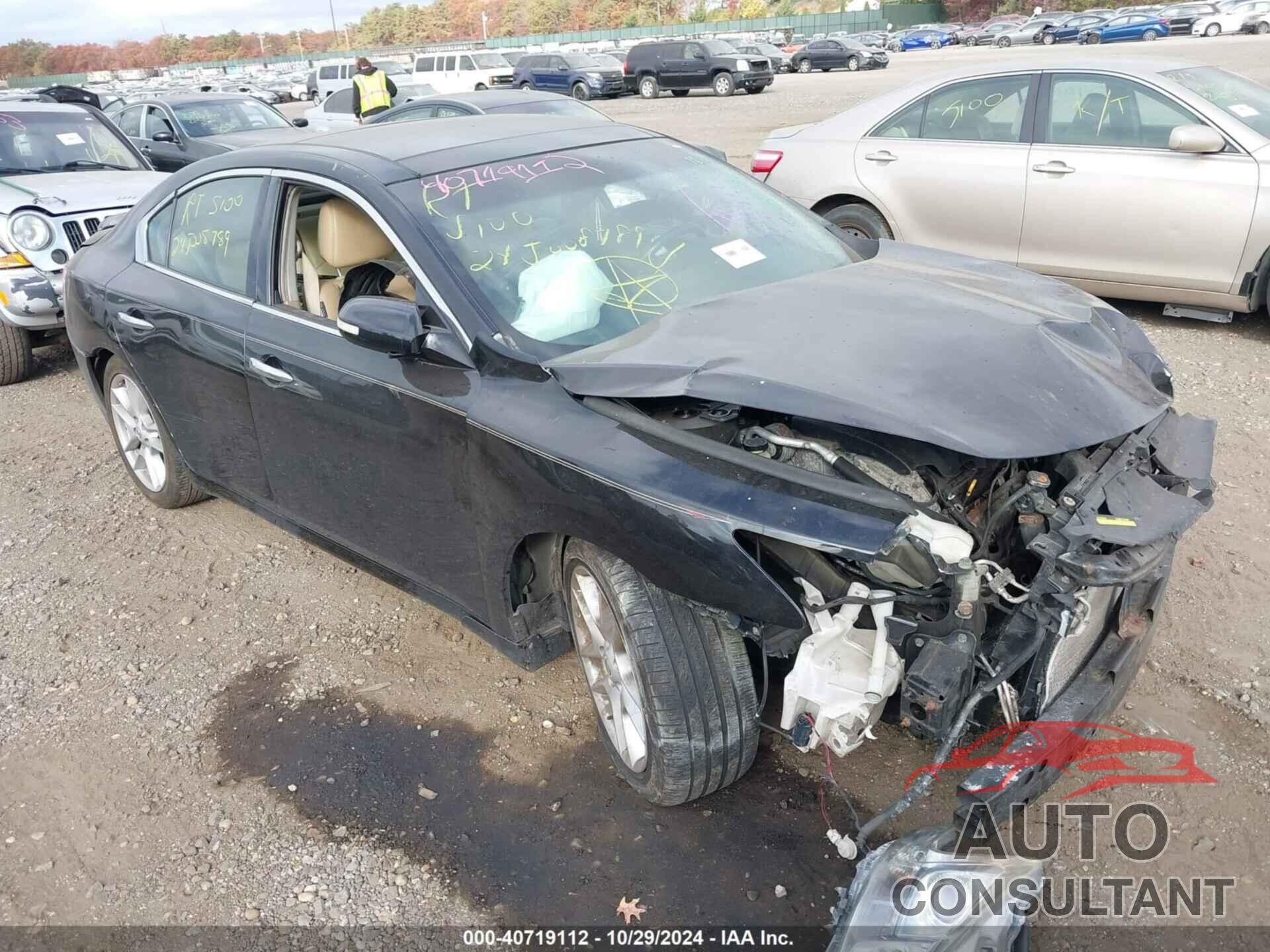 NISSAN MAXIMA 2009 - 1N4AA51E89C837329