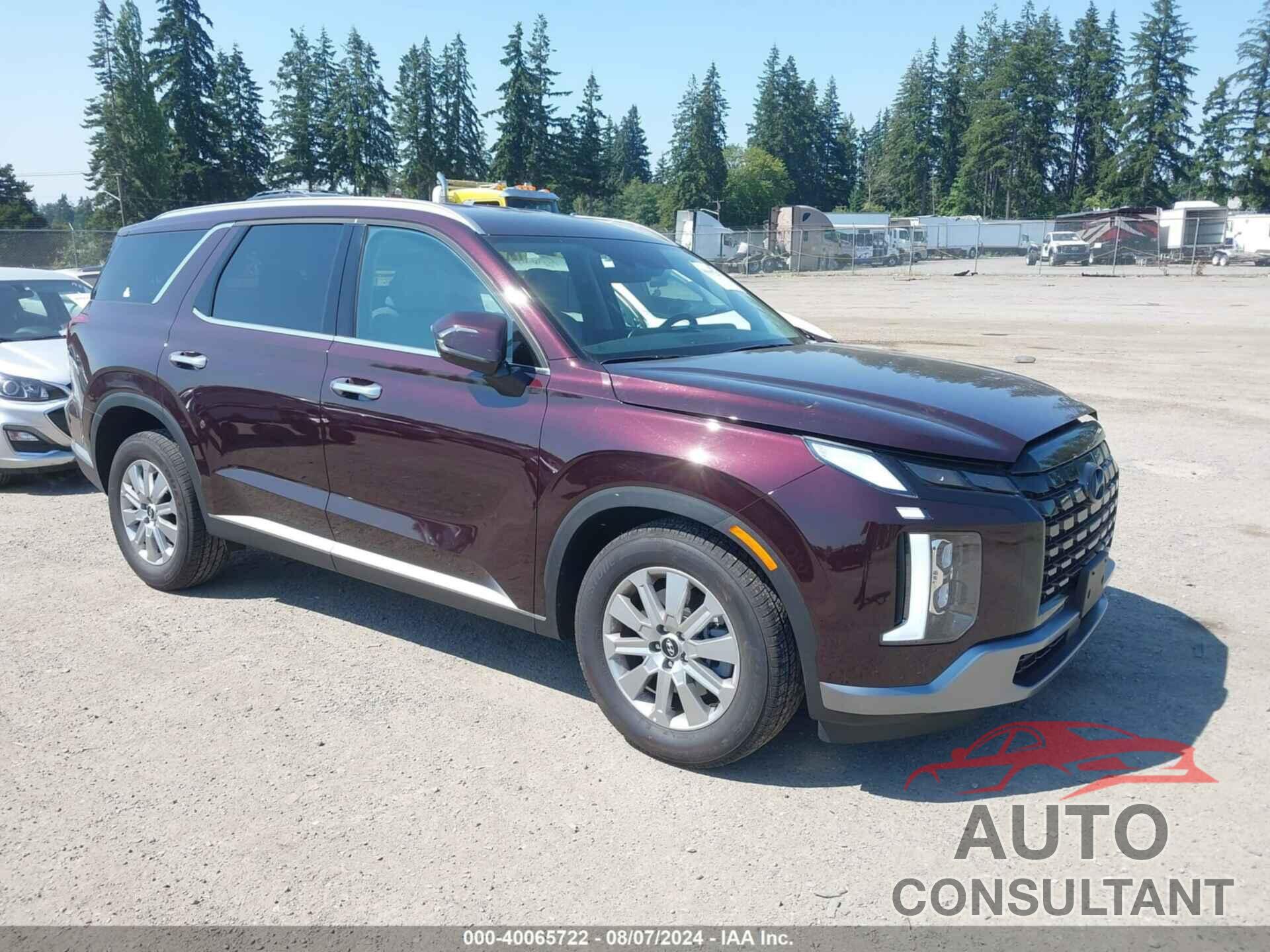 HYUNDAI PALISADE 2024 - KM8R24GE5RU796935