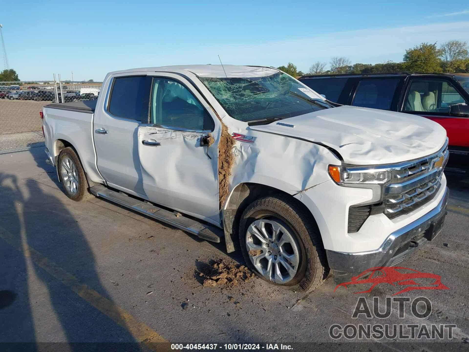 CHEVROLET SILVERADO 1500 2024 - 1GCUDGE8XRZ263568