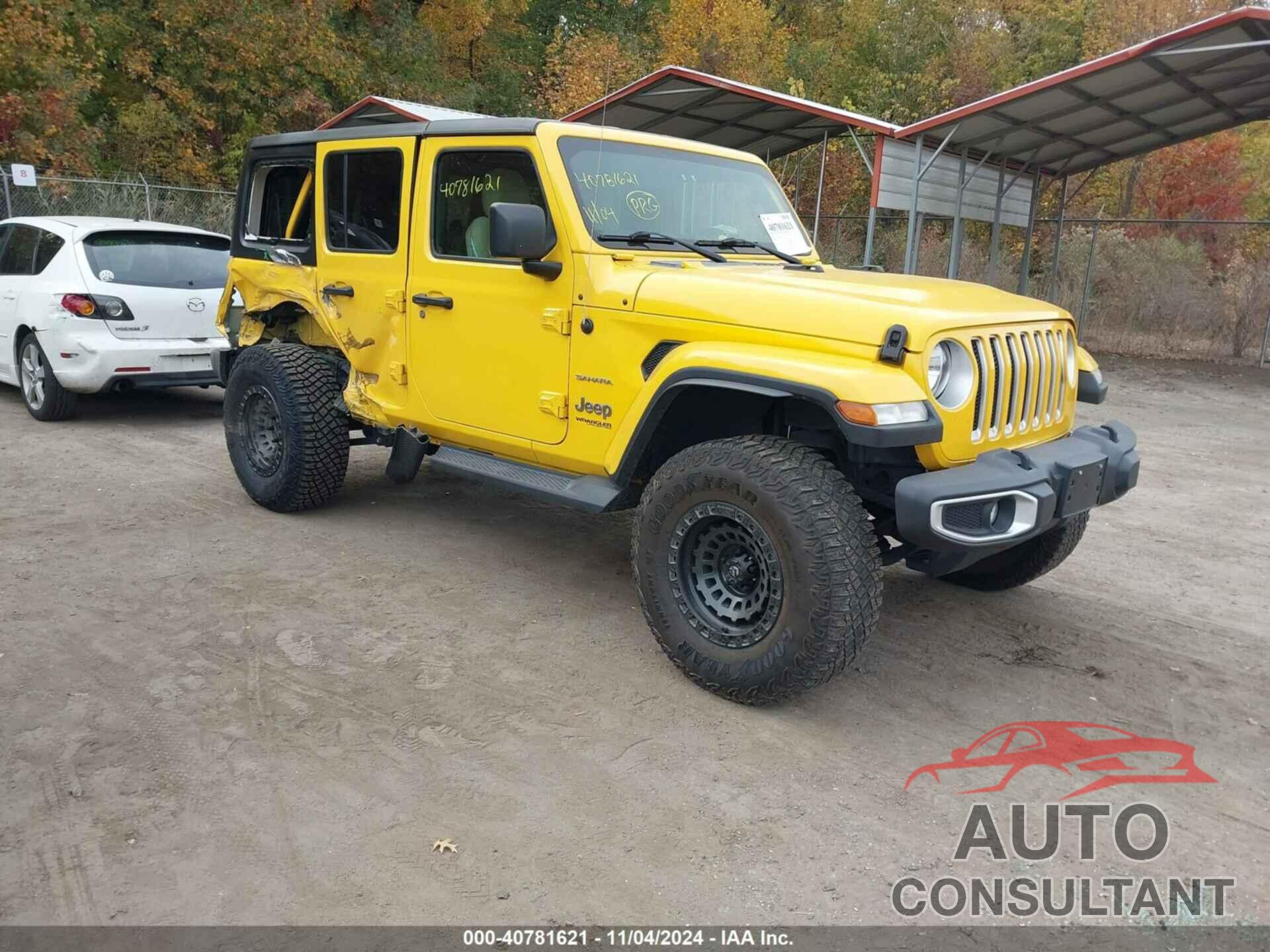 JEEP WRANGLER UNLIMITED 2020 - 1C4HJXEN2LW233814