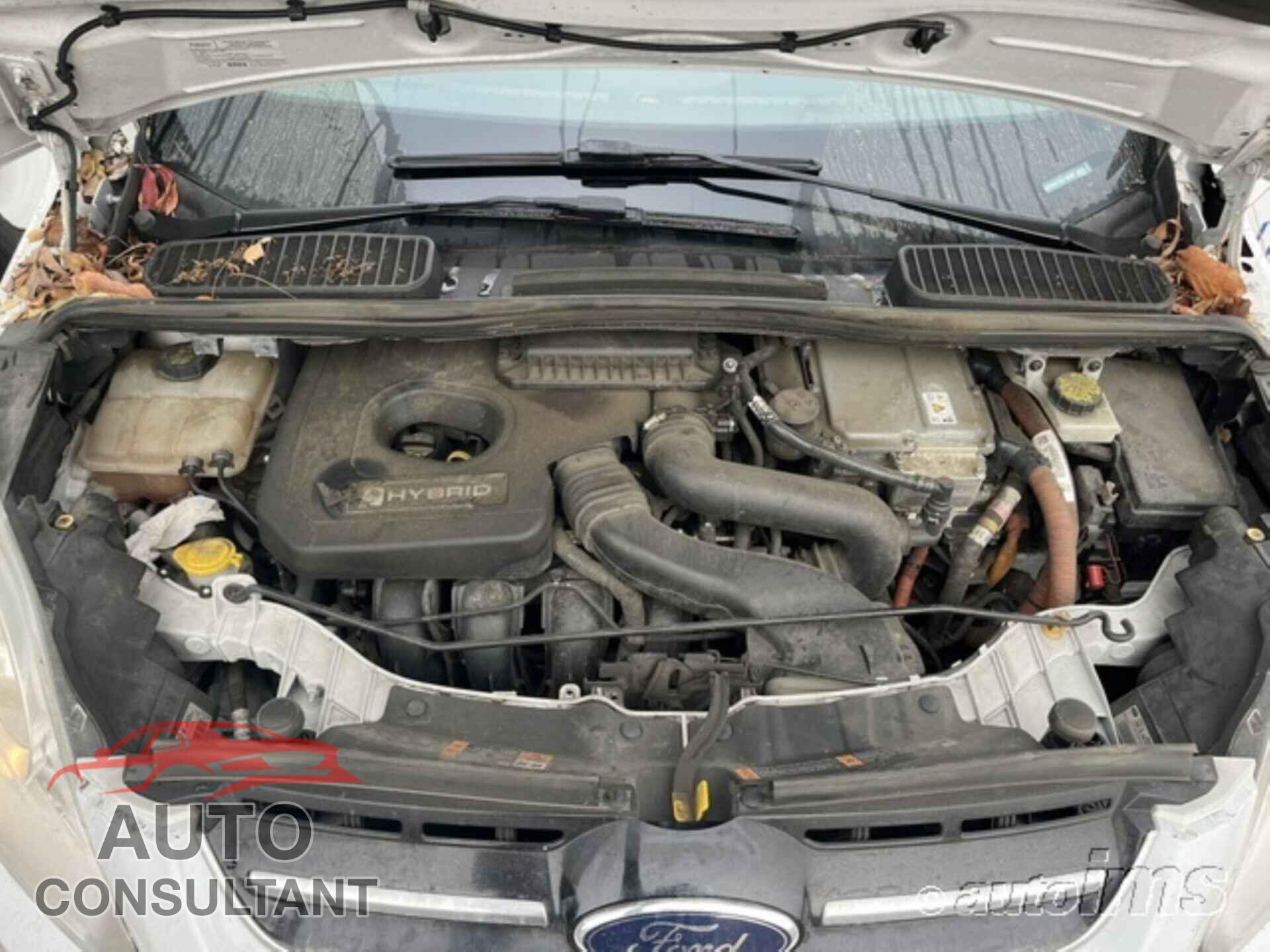 FORD C-MAX 2016 - 1FADP5AU7GL119707