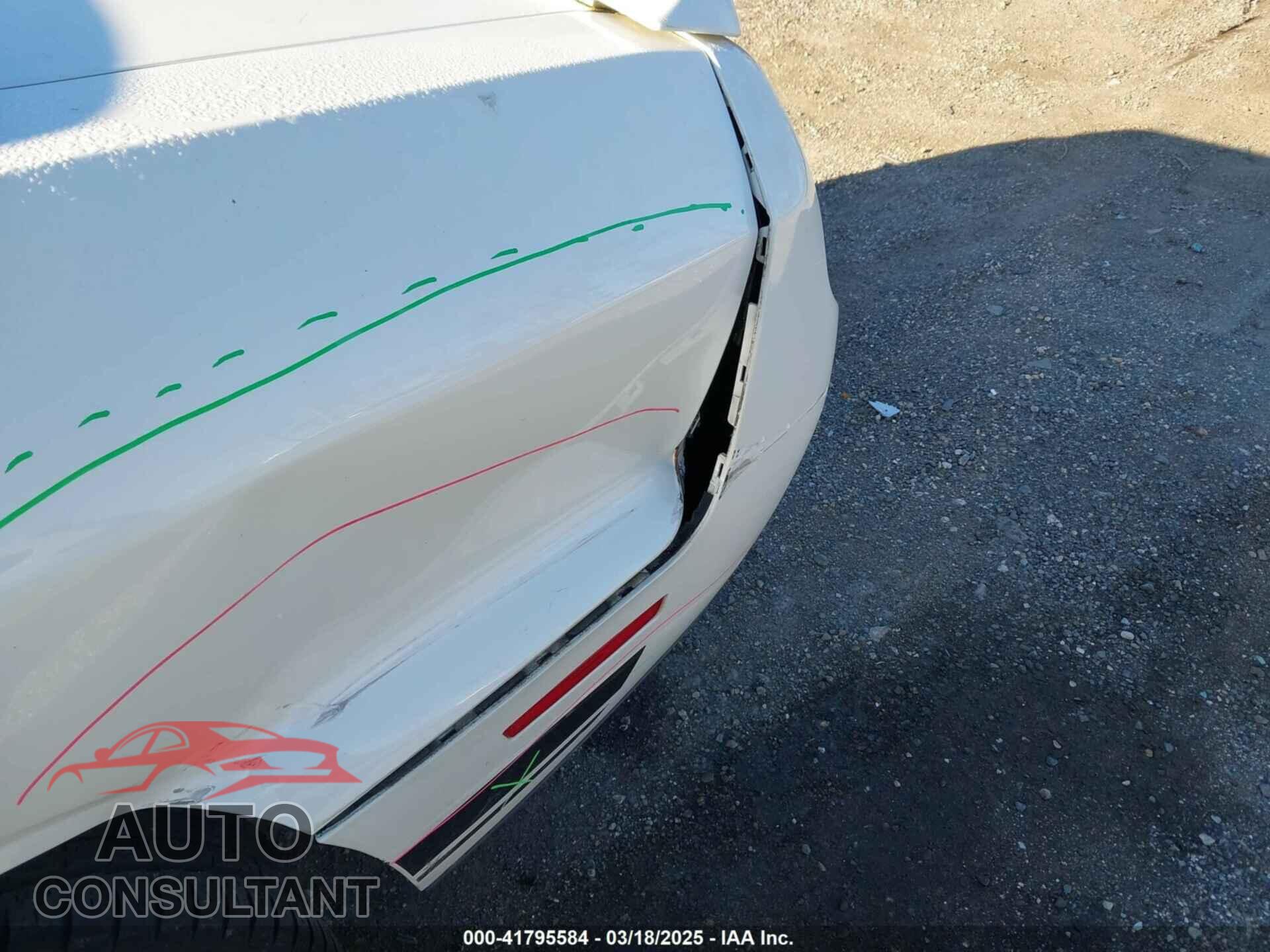 DODGE CHALLENGER 2019 - 2C3CDZAG8KH620552