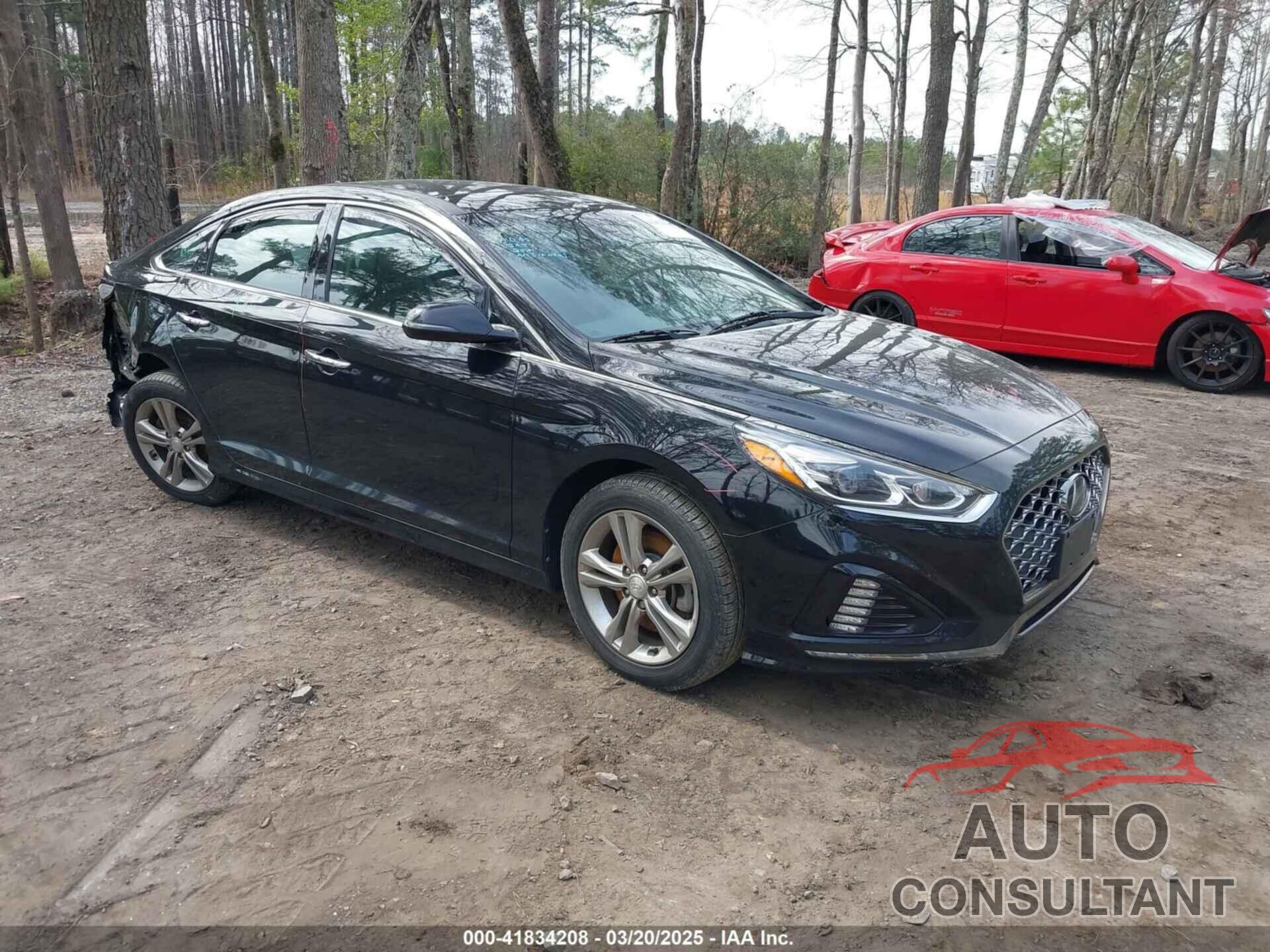 HYUNDAI SONATA 2019 - 5NPE34AF2KH820562