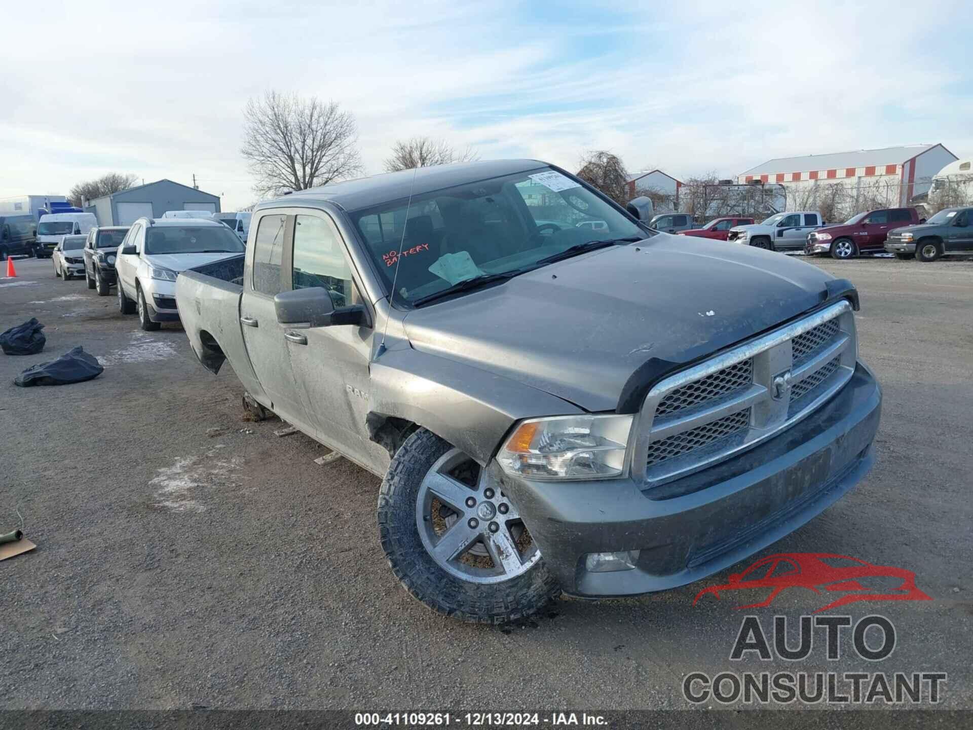 DODGE RAM 1500 2010 - 1D7RV1GT9AS171789