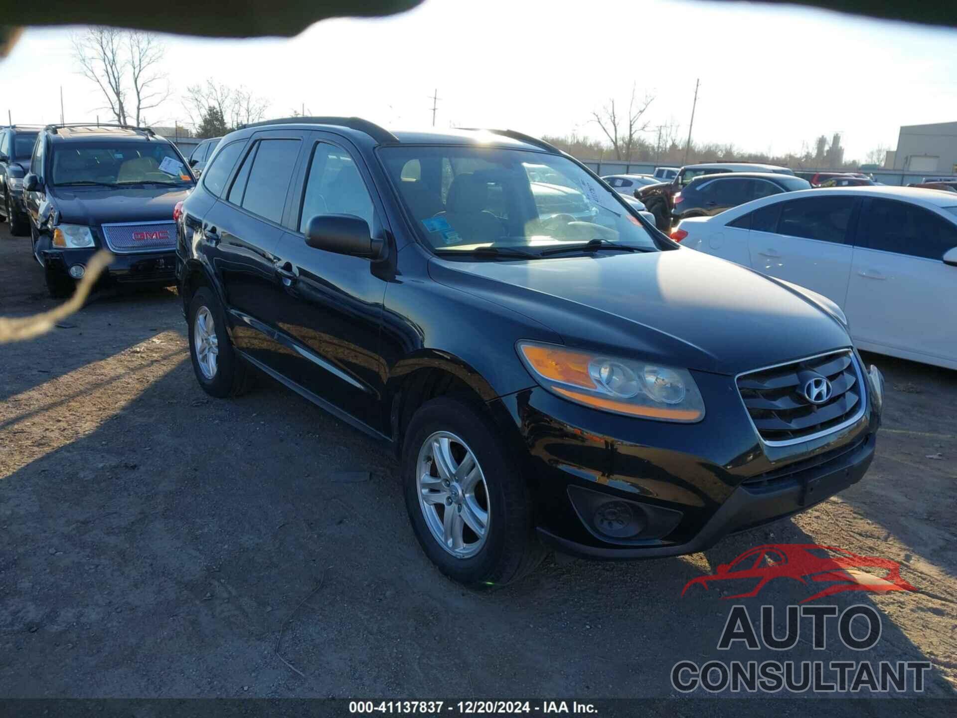 HYUNDAI SANTA FE 2010 - 5NMSGDAB4AH414864