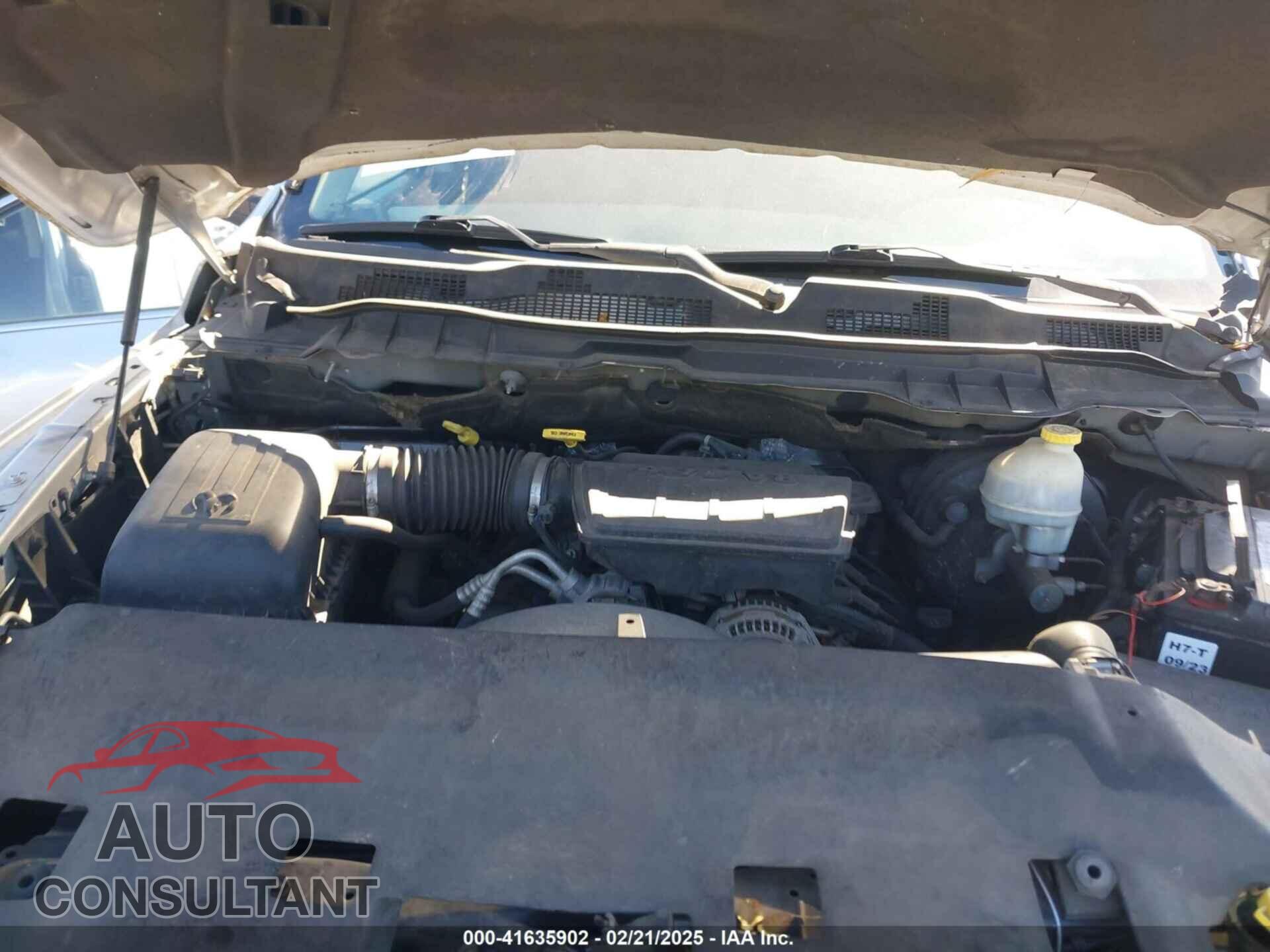 DODGE RAM 1500 2010 - 1D7RB1GP8AS104872