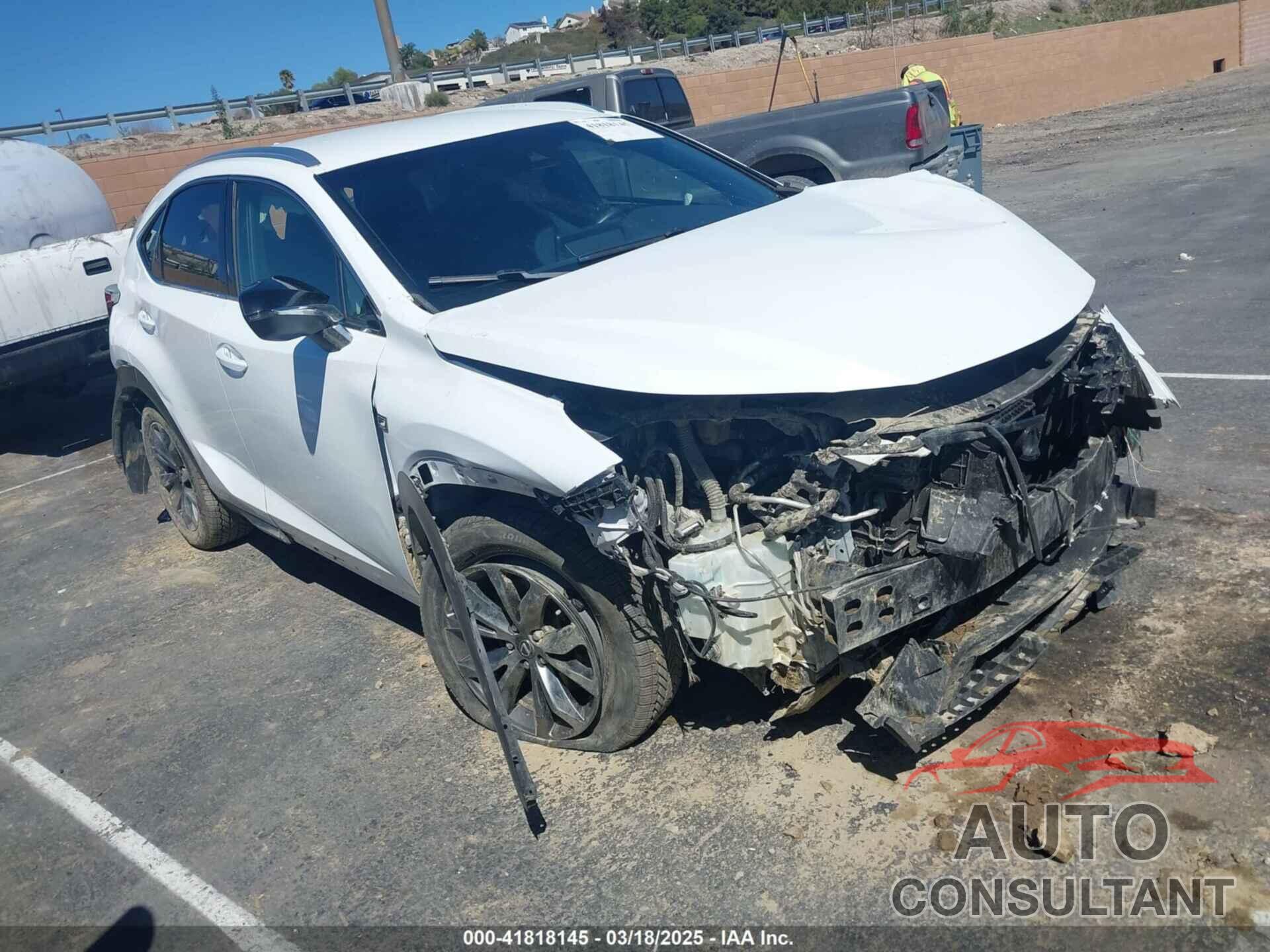 LEXUS NX 300 2019 - JTJYARBZ4K2129962