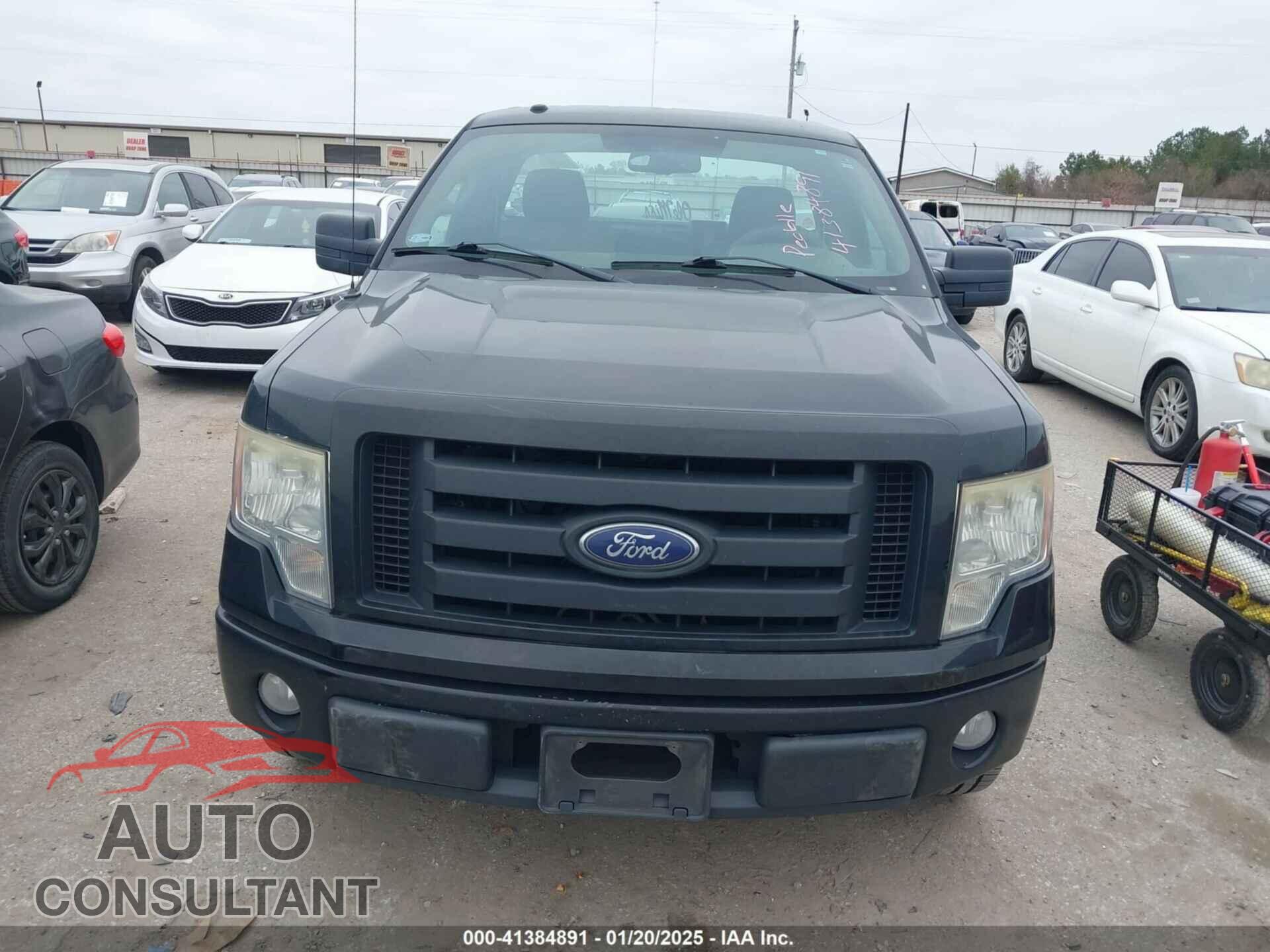 FORD F-150 2009 - 1FTRF02W59KC76845