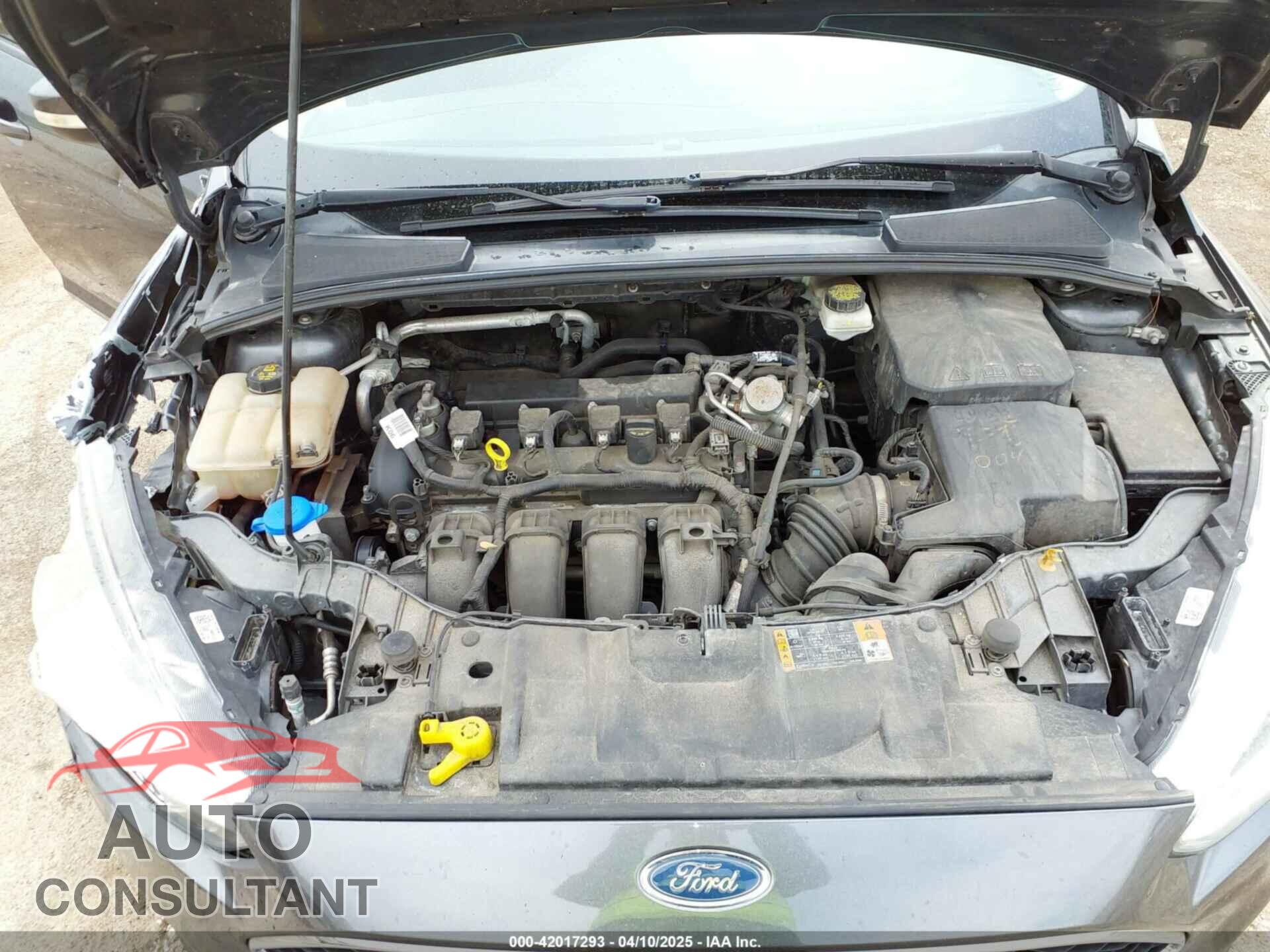 FORD FOCUS 2017 - 1FADP3F21HL270183