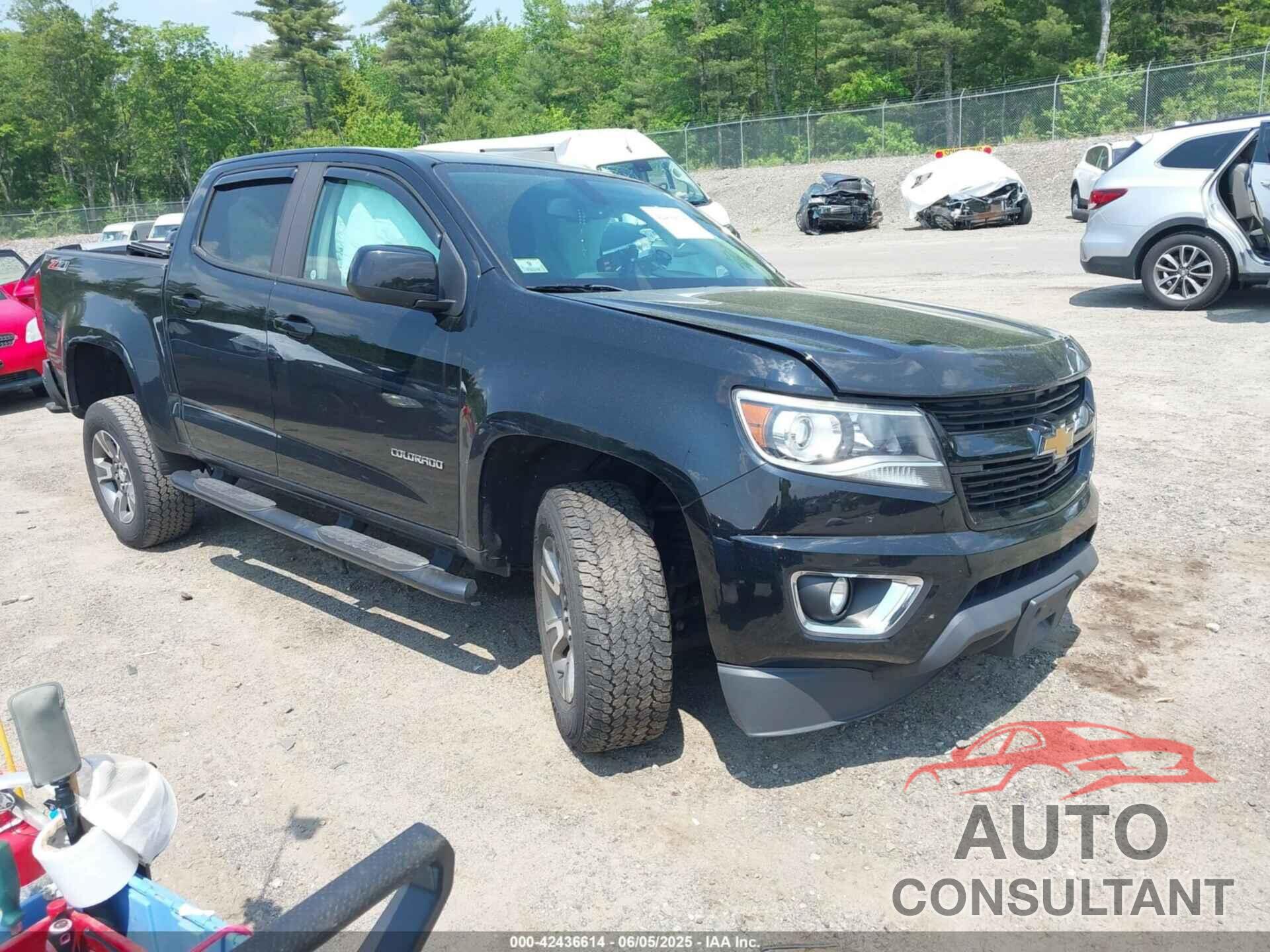 CHEVROLET COLORADO 2019 - 1GCGTDEN2K1157205