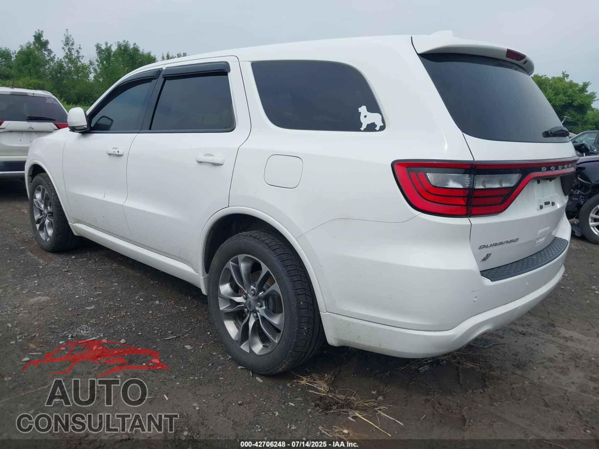 DODGE DURANGO 2019 - 1C4RDJDG7KC647716