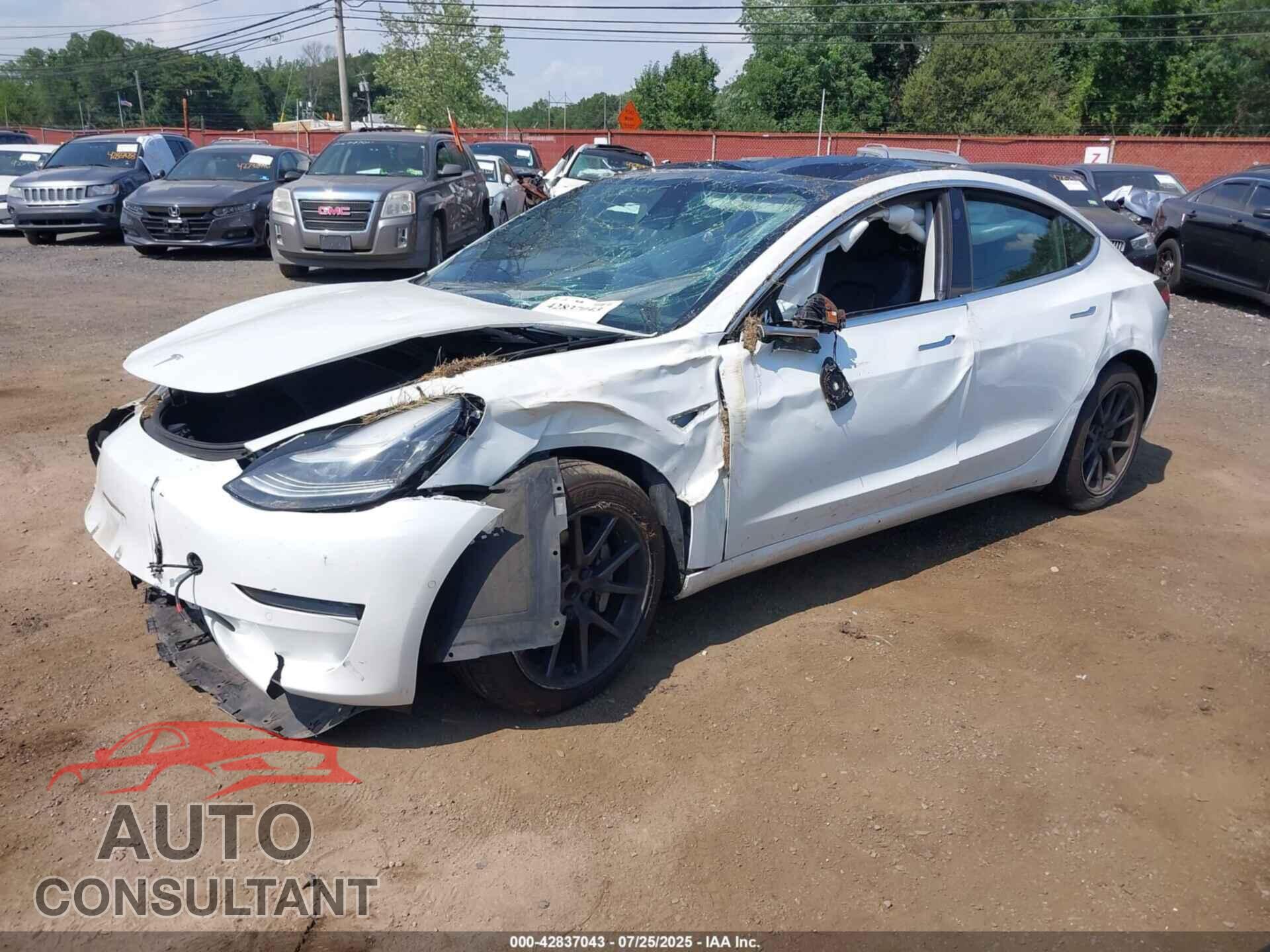 TESLA MODEL 3 2019 - 5YJ3E1EA5KF483835