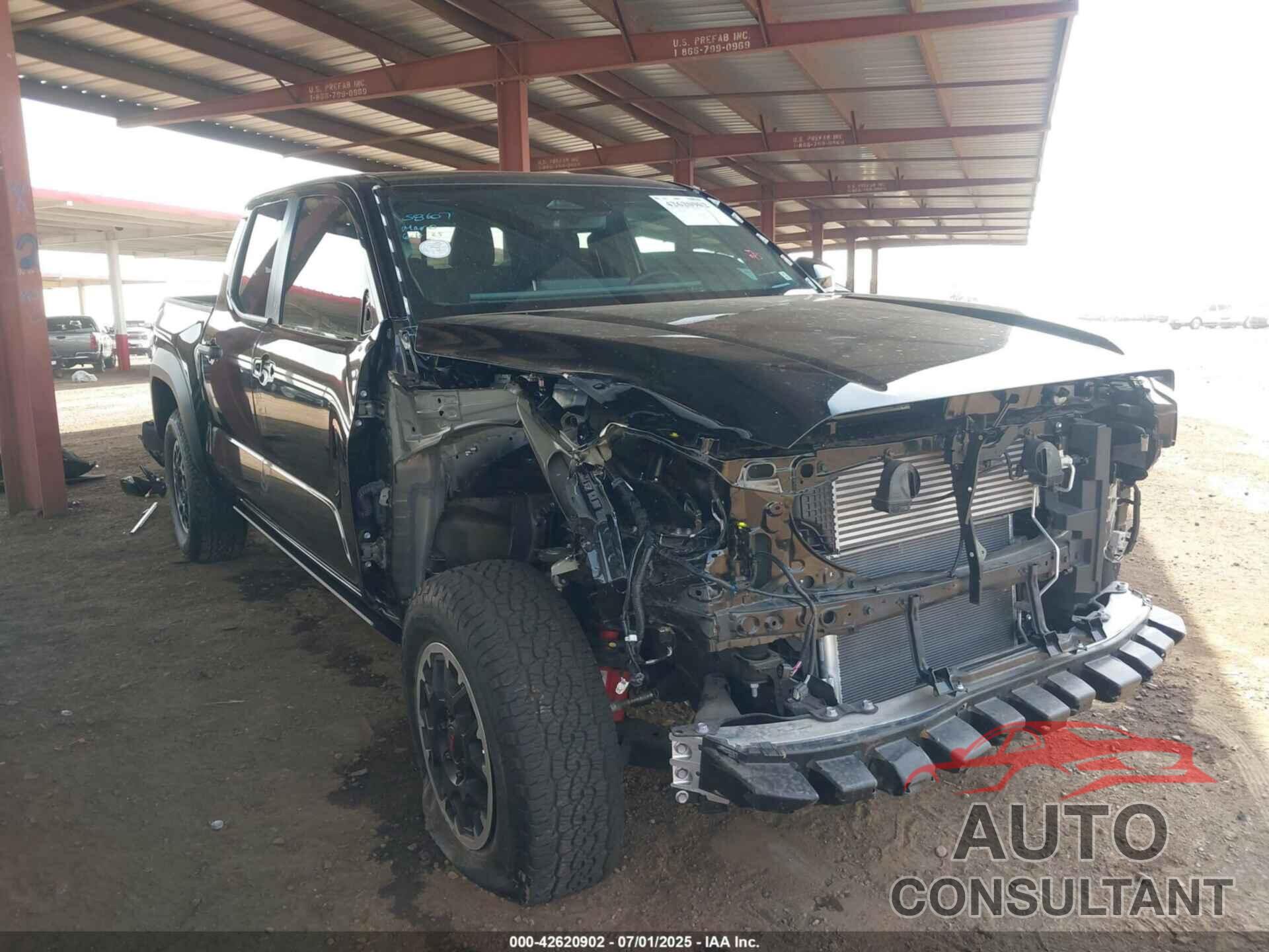 TOYOTA TACOMA 2024 - 3TMLB5JNXRM005540