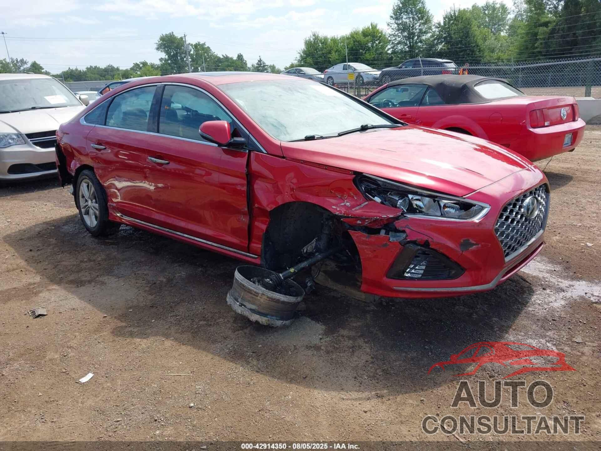 HYUNDAI SONATA 2019 - 5NPE34AF0KH815974