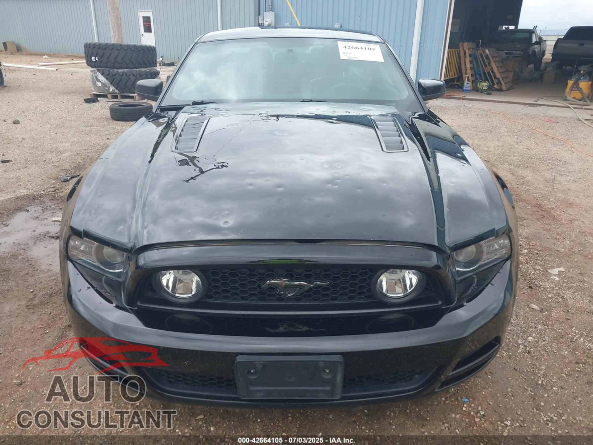FORD MUSTANG 2014 - 1ZVBP8CF4E5221725