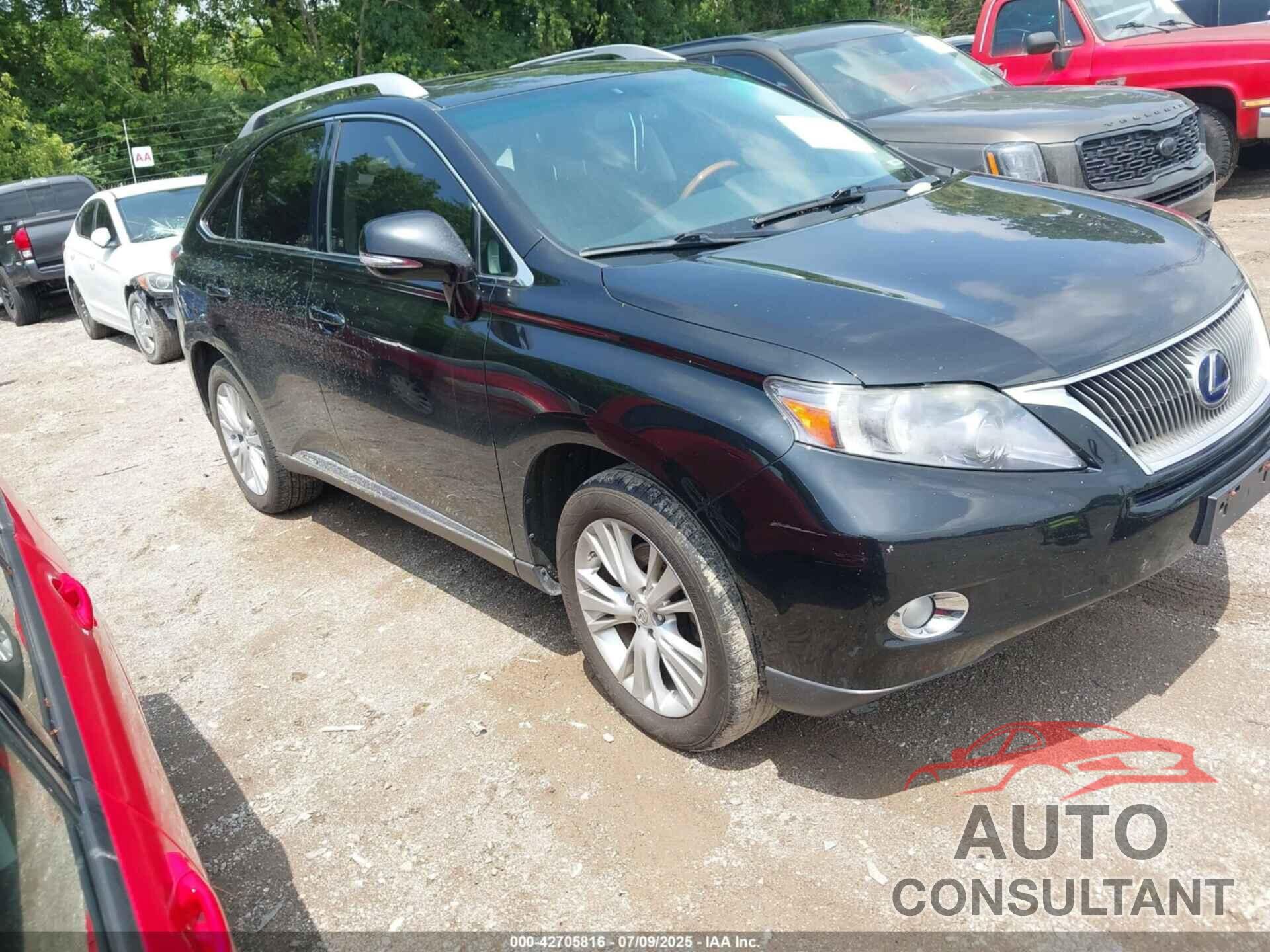 LEXUS RX 450H 2010 - JTJBC1BA4A2411934