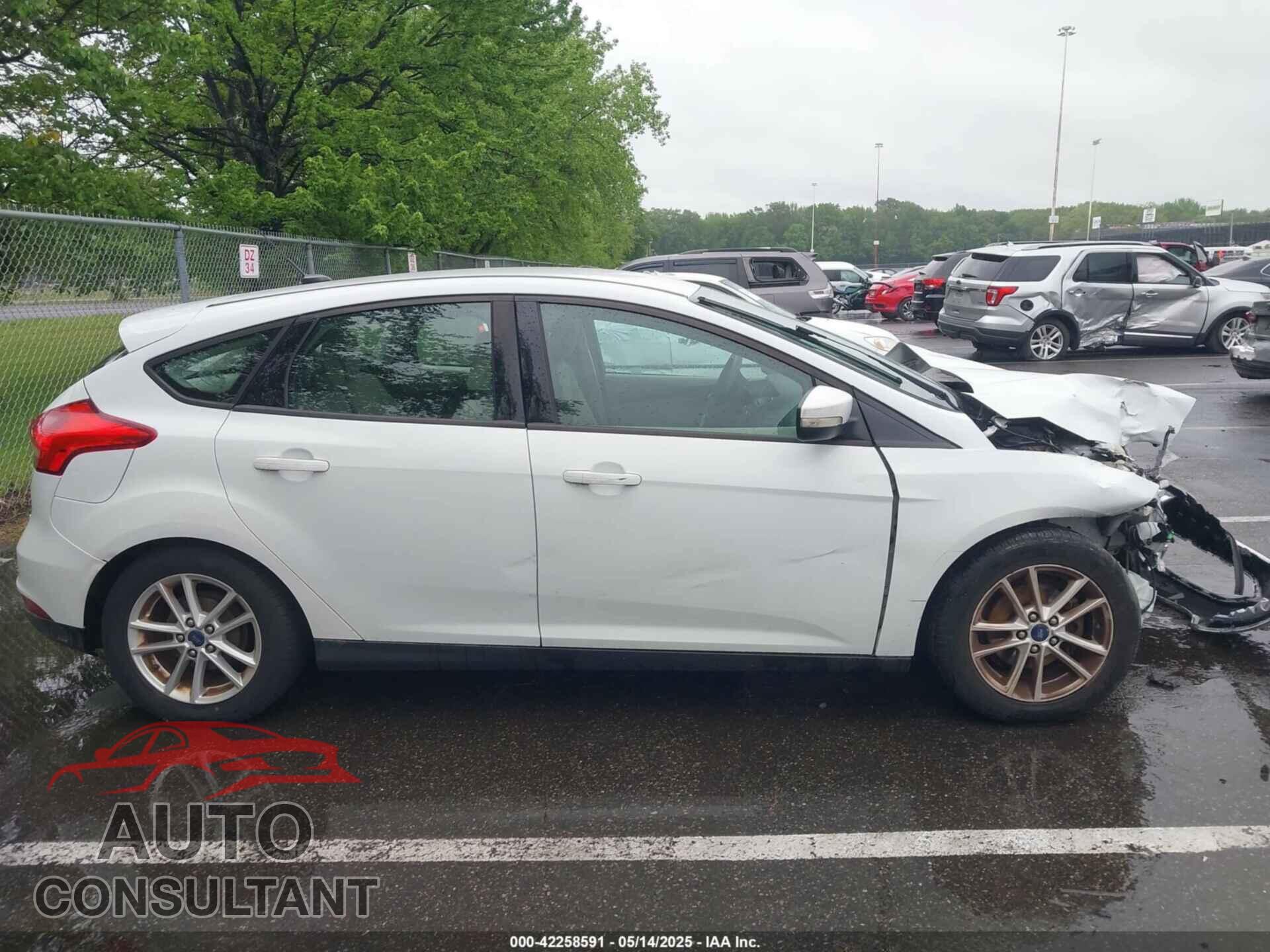 FORD FOCUS 2016 - 1FADP3K29GL354594