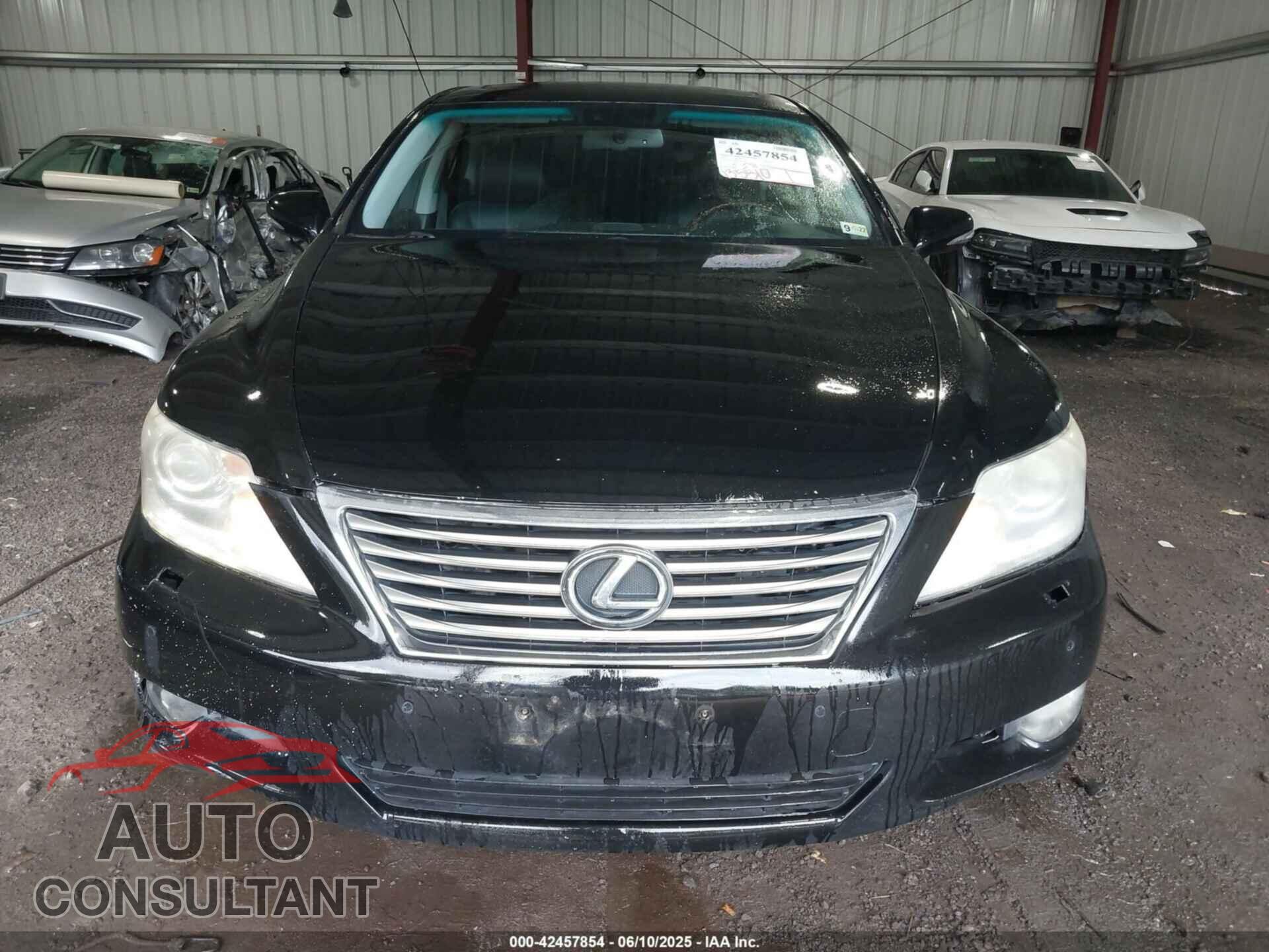LEXUS LS 460 2011 - JTHCL5EF0B5009610