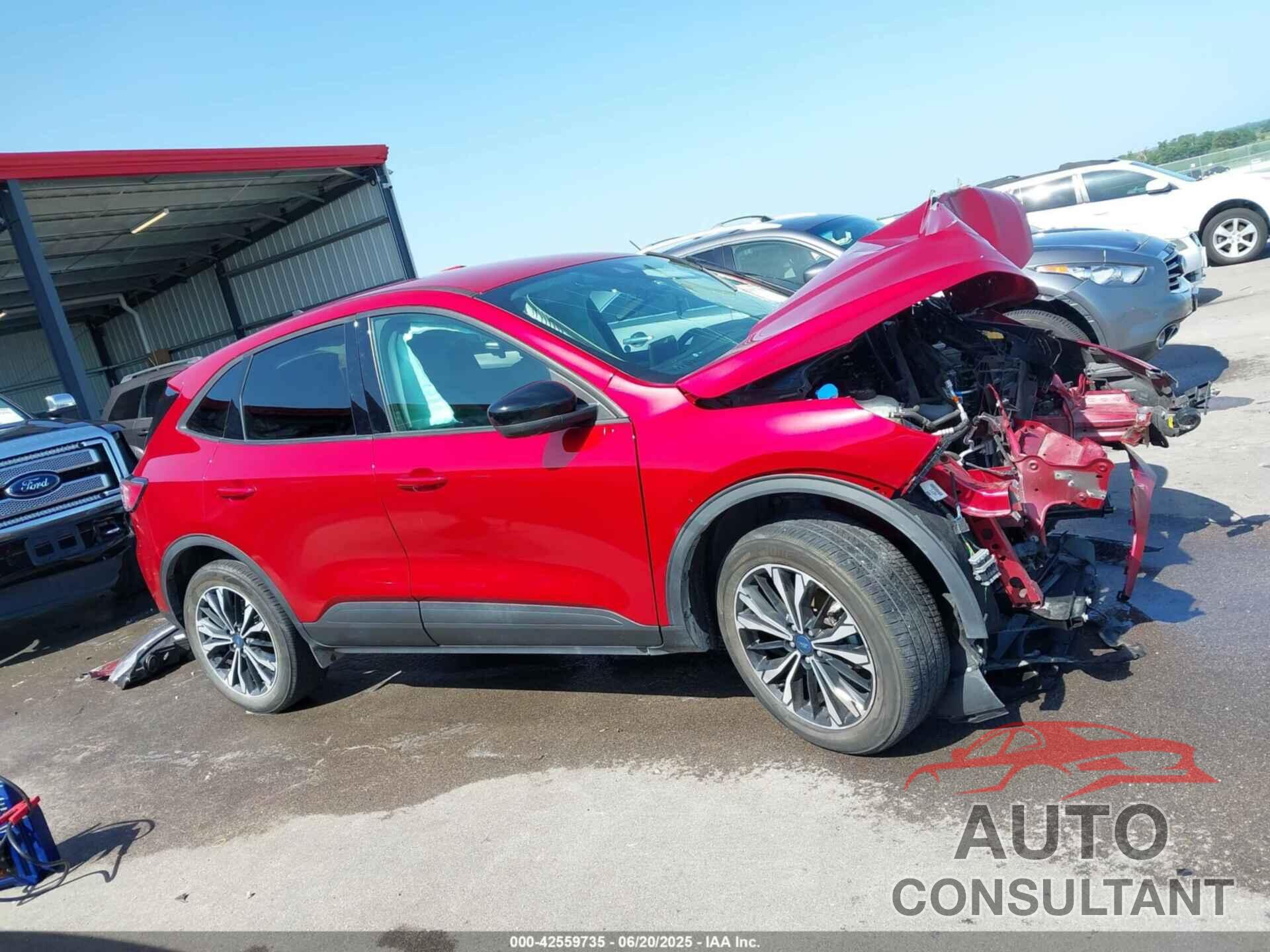 FORD ESCAPE 2021 - 1FMCU9G62MUA93694