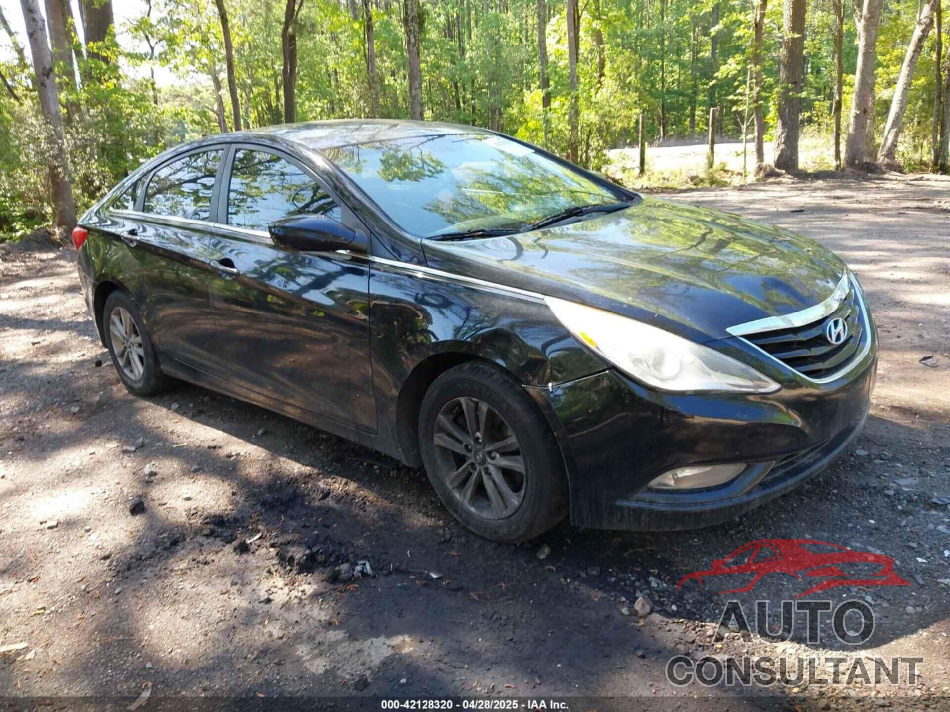 HYUNDAI SONATA 2013 - 5NPEB4AC6DH634860