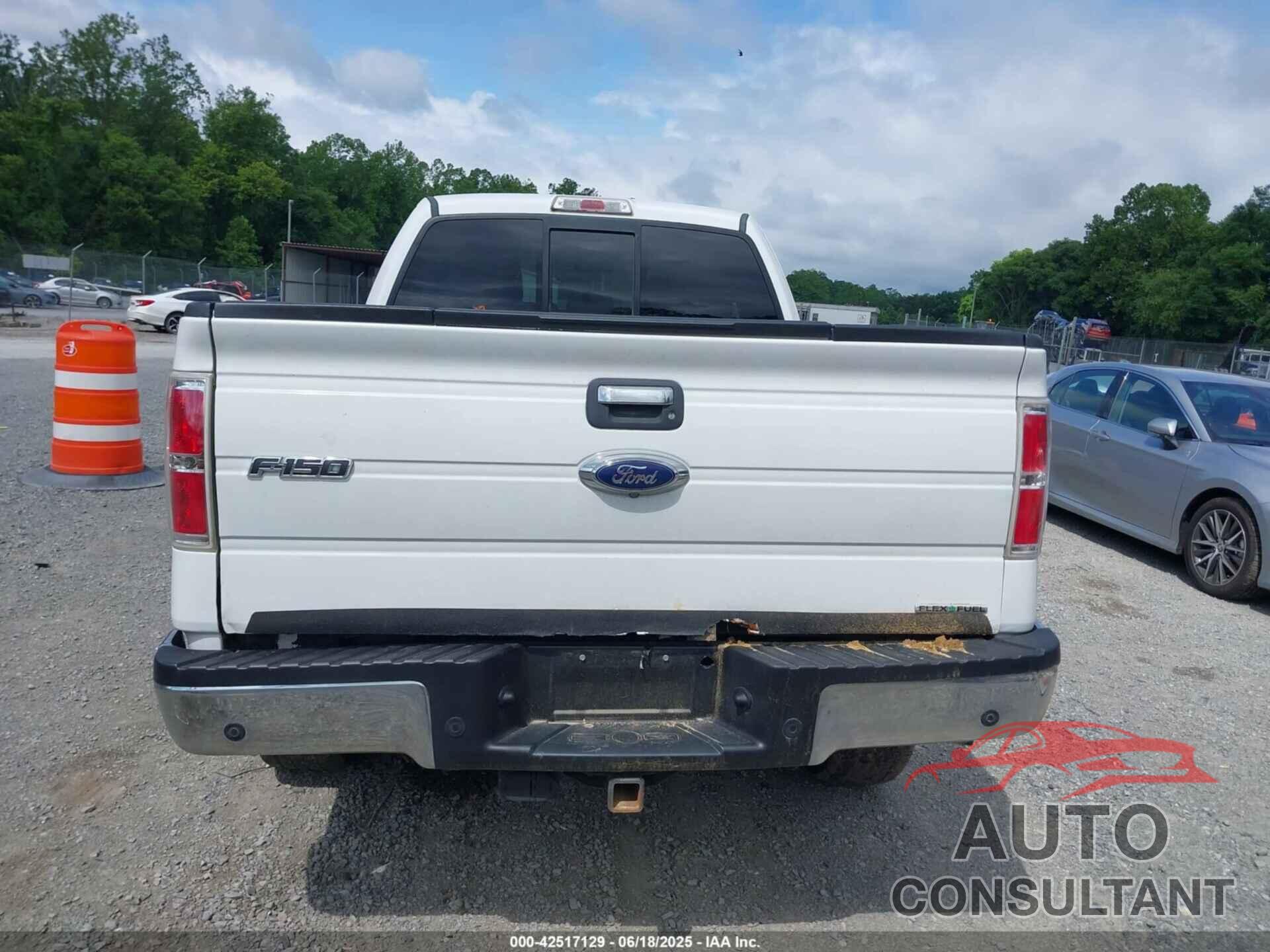 FORD F-150 2014 - 1FTFX1EF5EFA91747