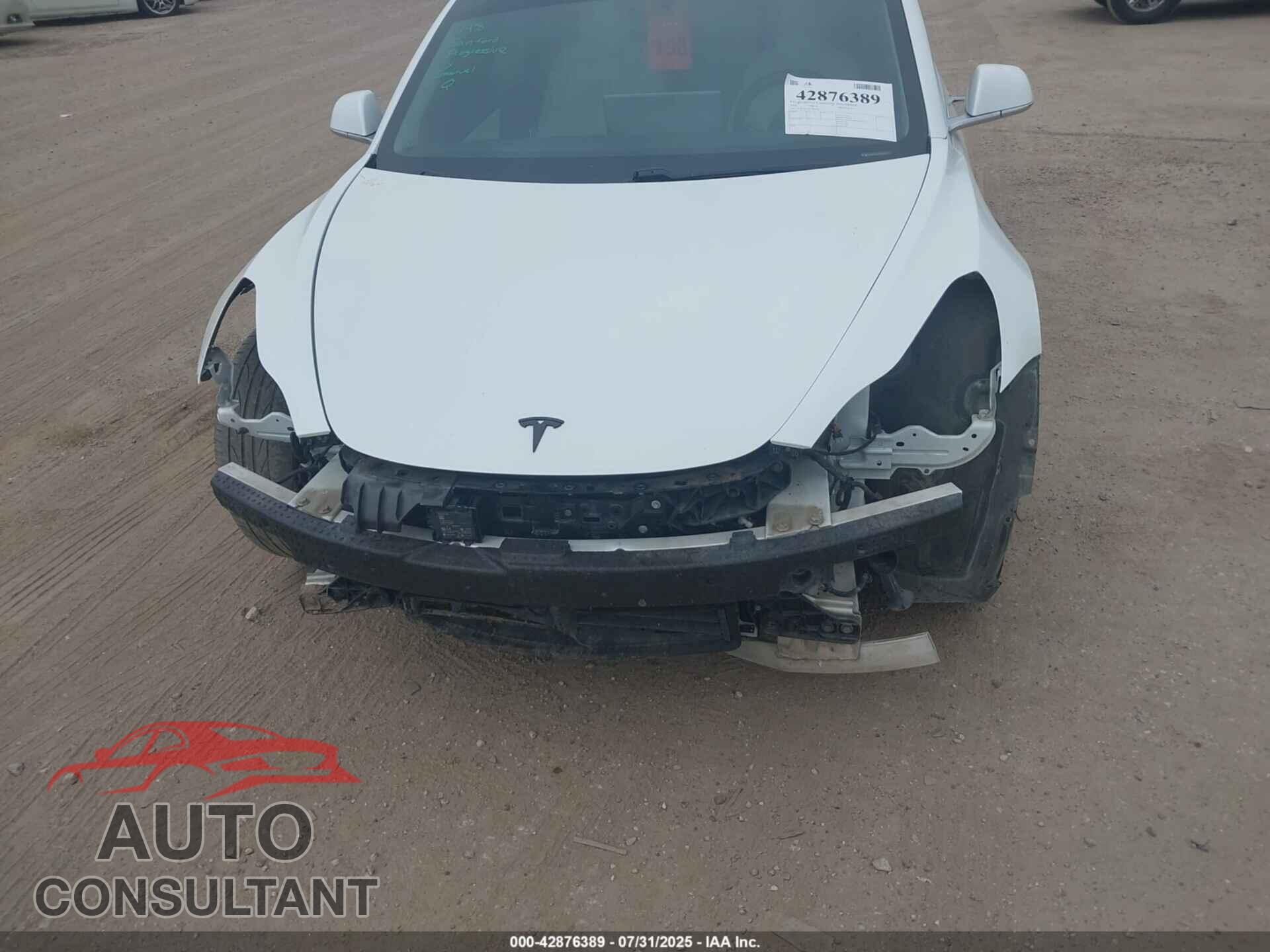 TESLA MODEL 3 2019 - 5YJ3E1EA5KF486587
