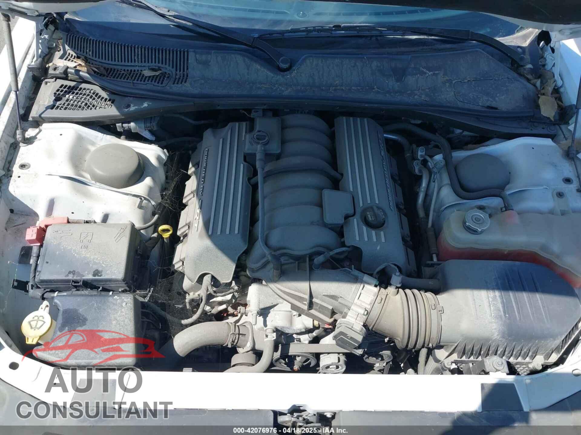 DODGE CHALLENGER 2019 - 2C3CDZFJ2KH747480