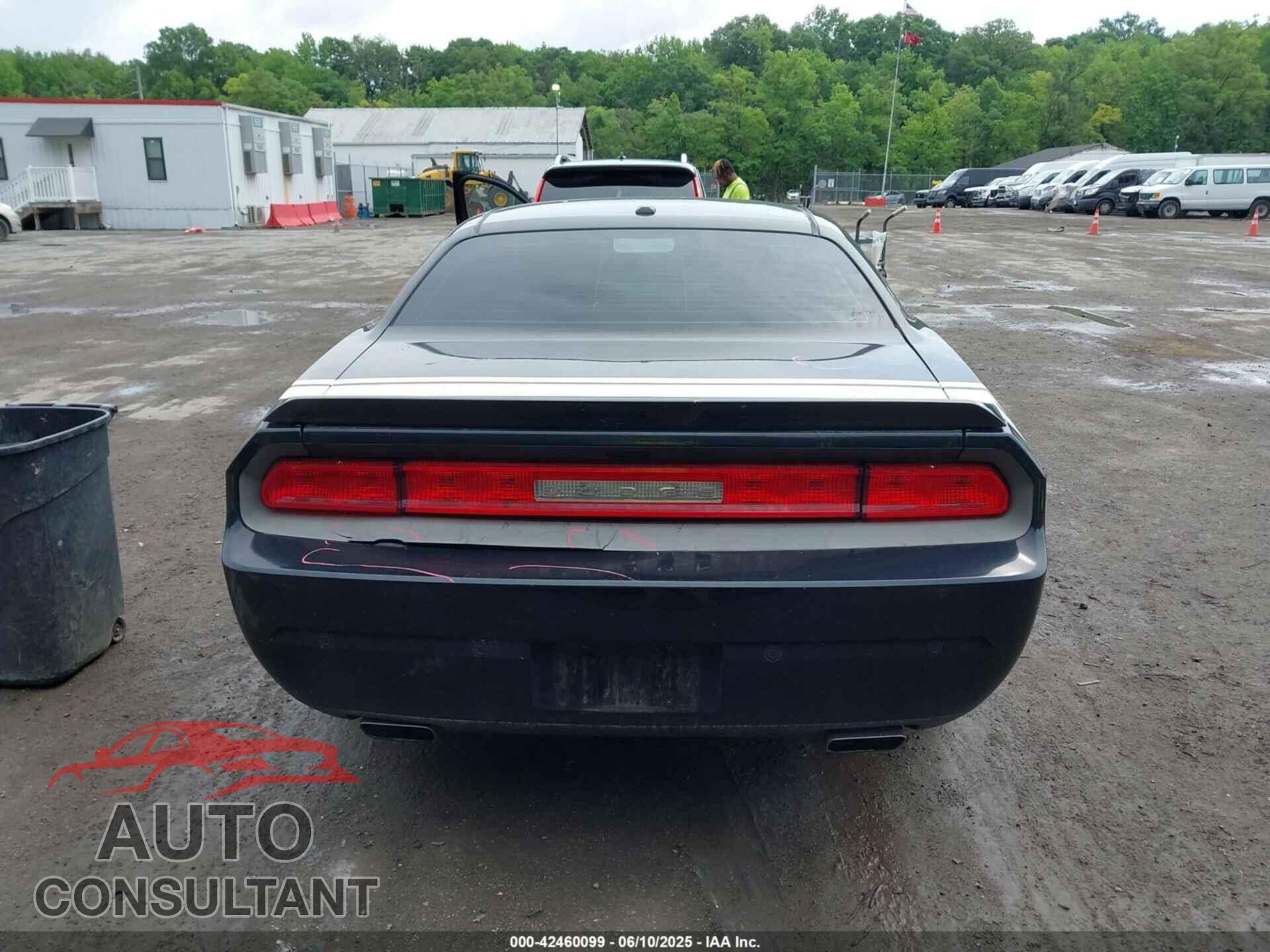 DODGE CHALLENGER 2013 - 2C3CDYAG8DH617678