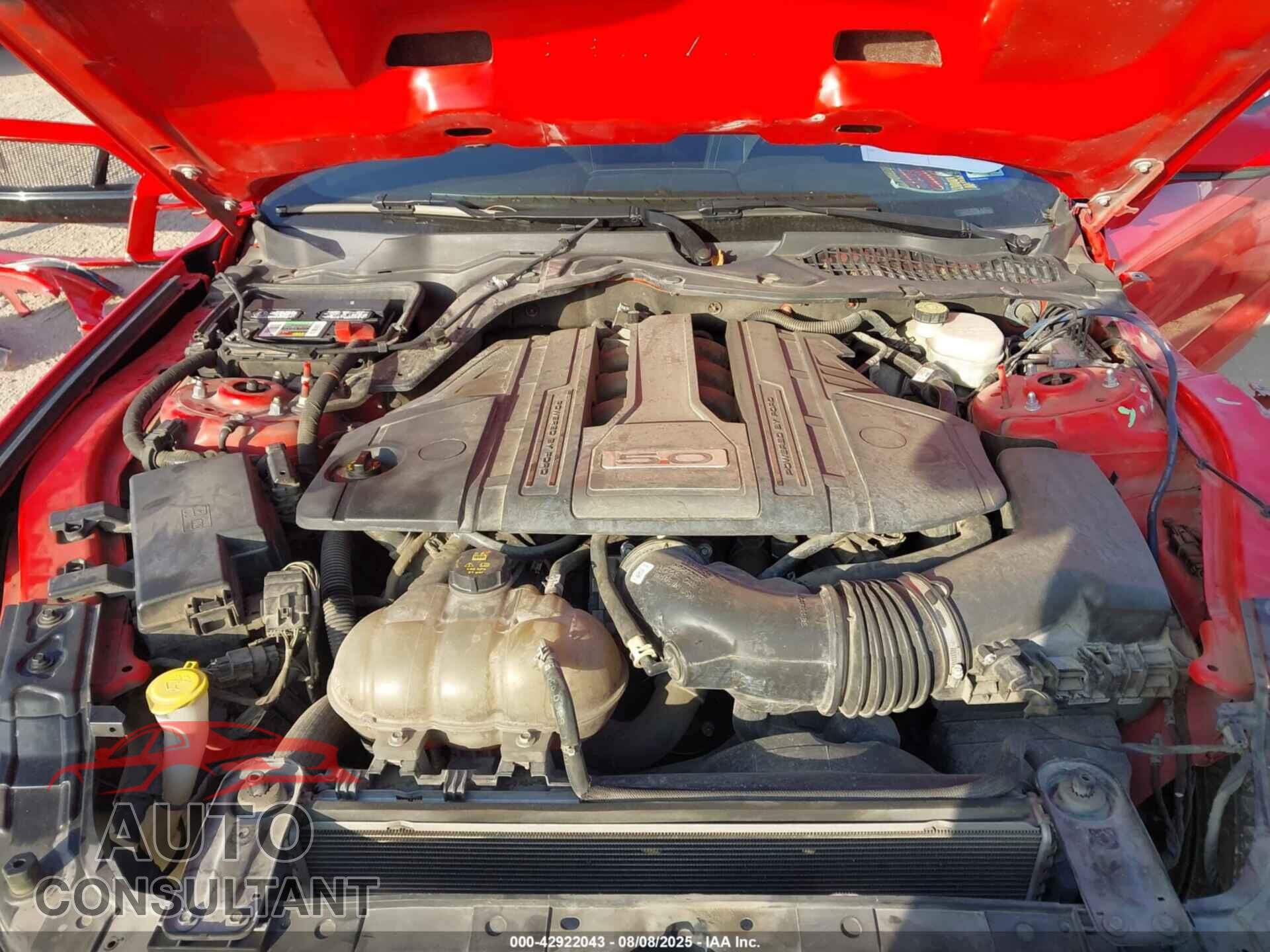 FORD MUSTANG 2019 - 1FA6P8CF3K5159241