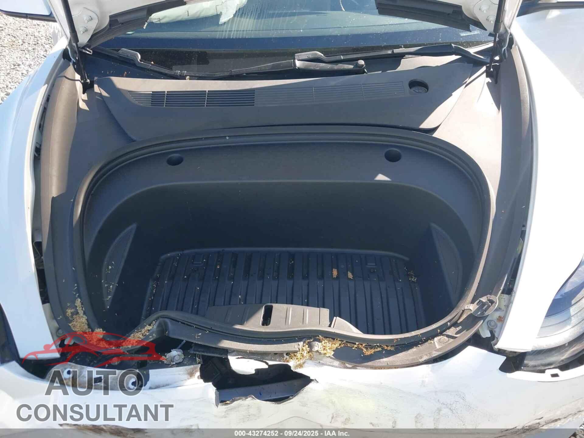 TESLA MODEL 3 2021 - 5YJ3E1EA2MF918331