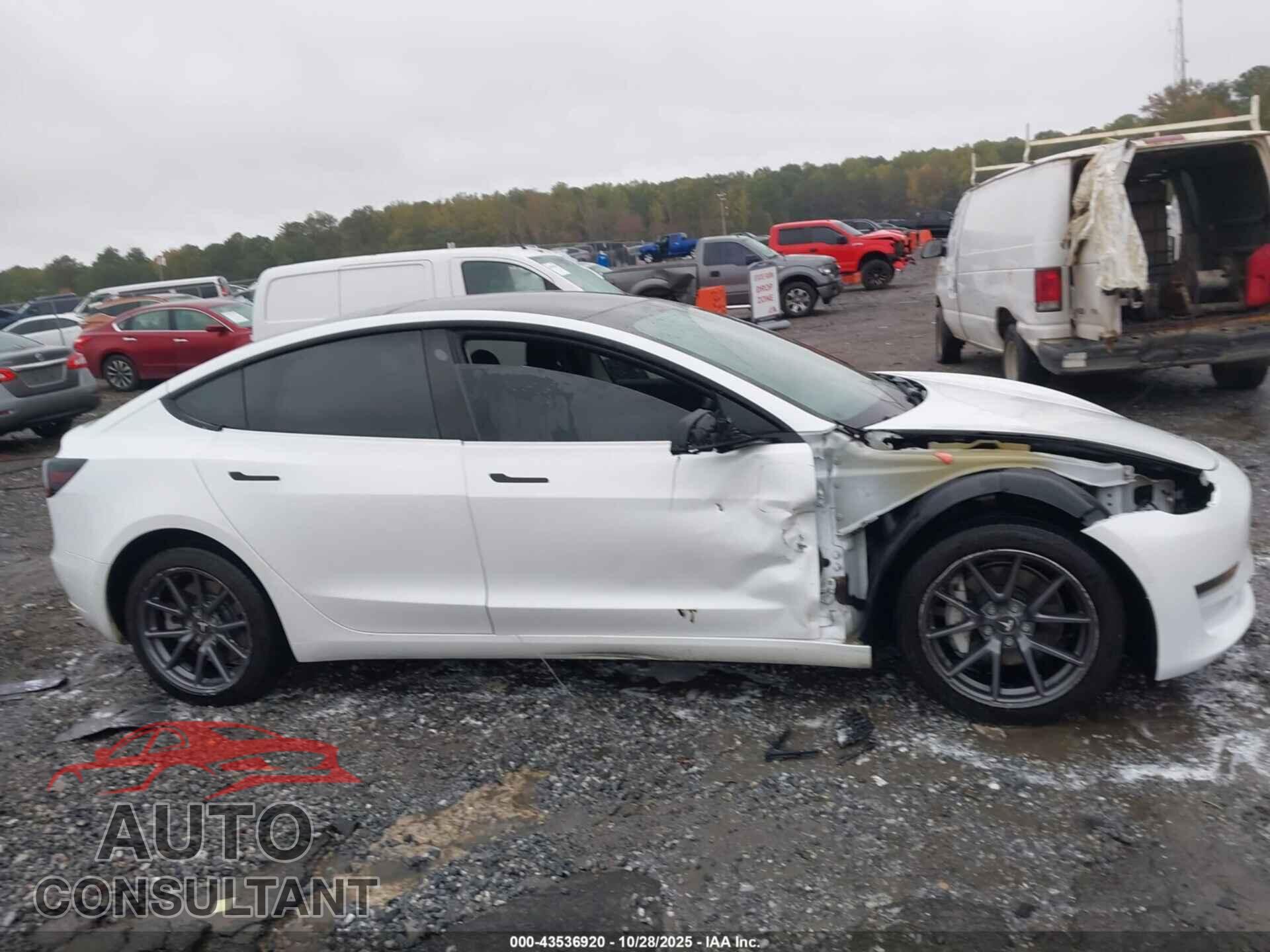 TESLA MODEL 3 2021 - 5YJ3E1EA2MF913341