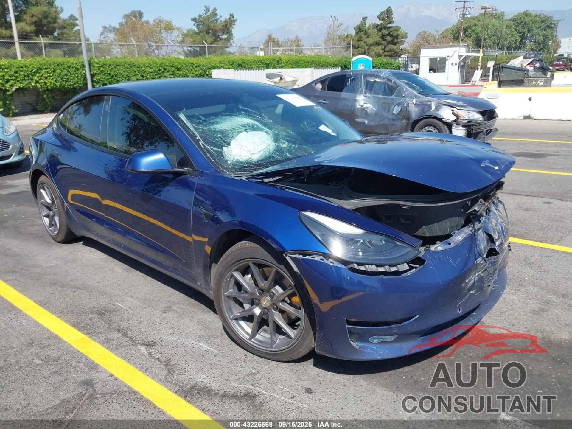 TESLA MODEL 3 2021 - 5YJ3E1EA6MF876388