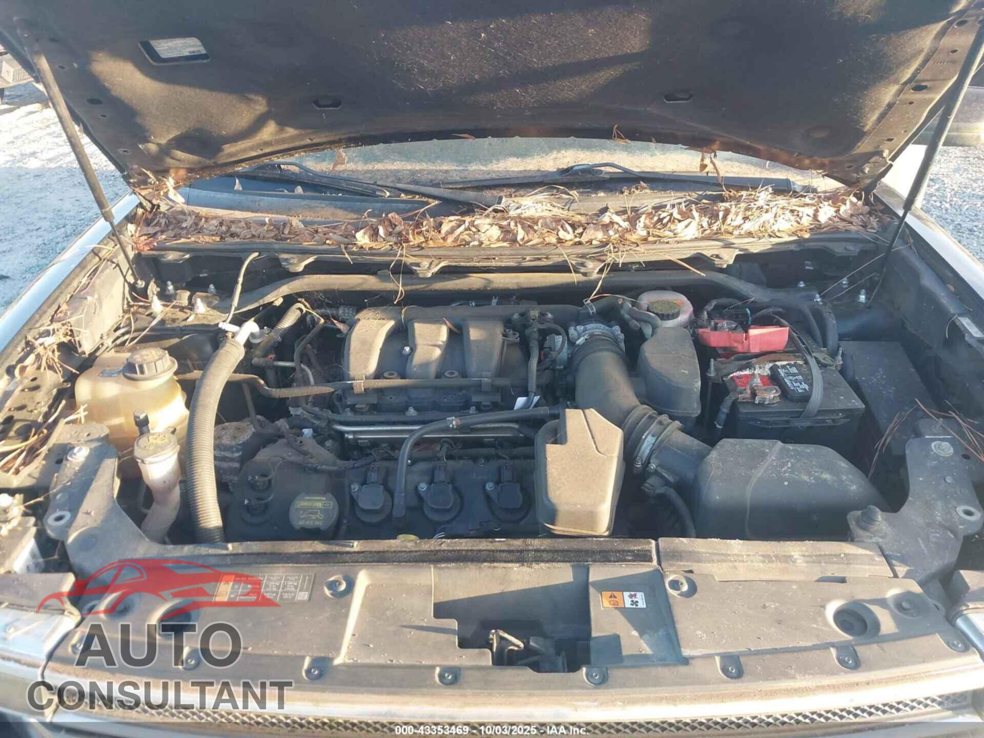 FORD FLEX 2013 - 2FMGK5C83DBD15981