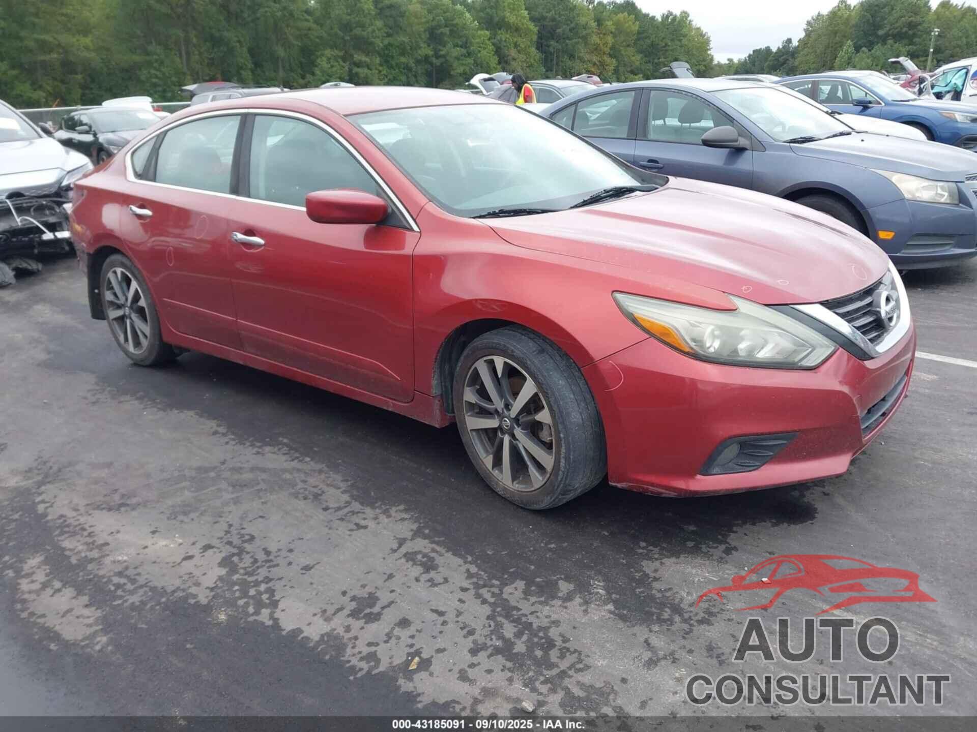 NISSAN ALTIMA 2016 - 1N4AL3AP8GC180691