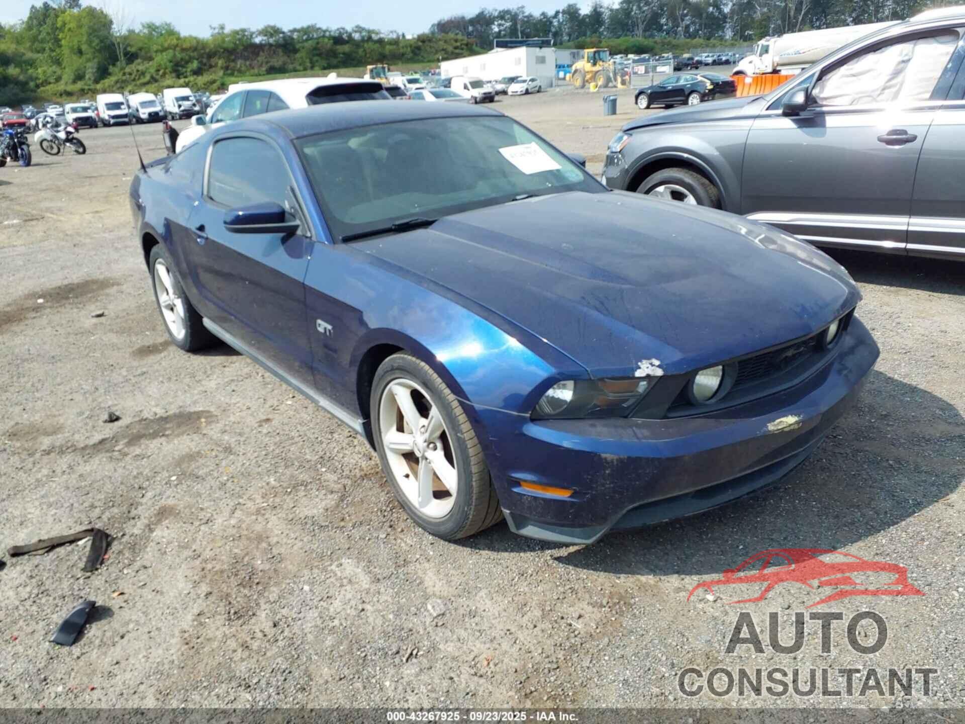 FORD MUSTANG 2010 - 1ZVBP8CHXA5151868